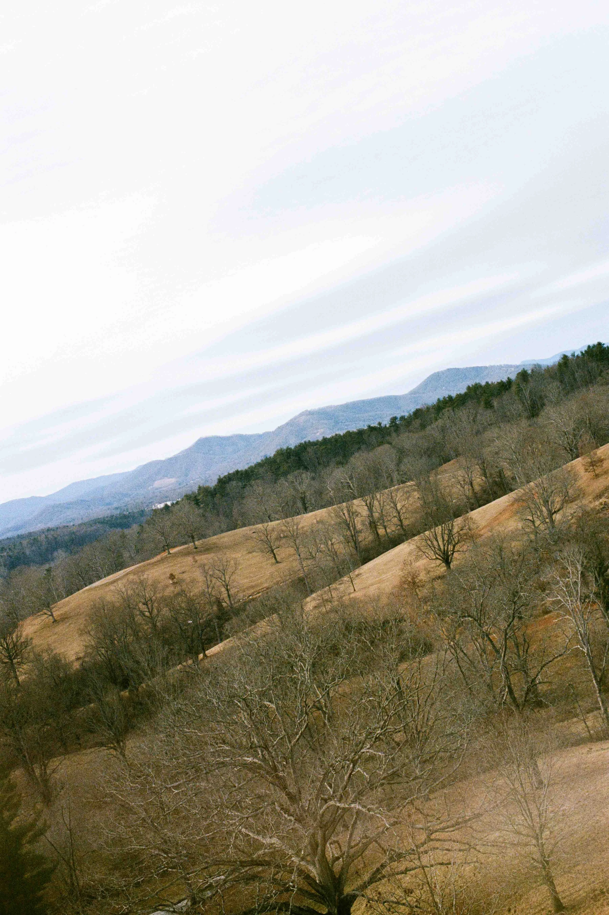 Biltmore Engagement Photos Film-162.jpg