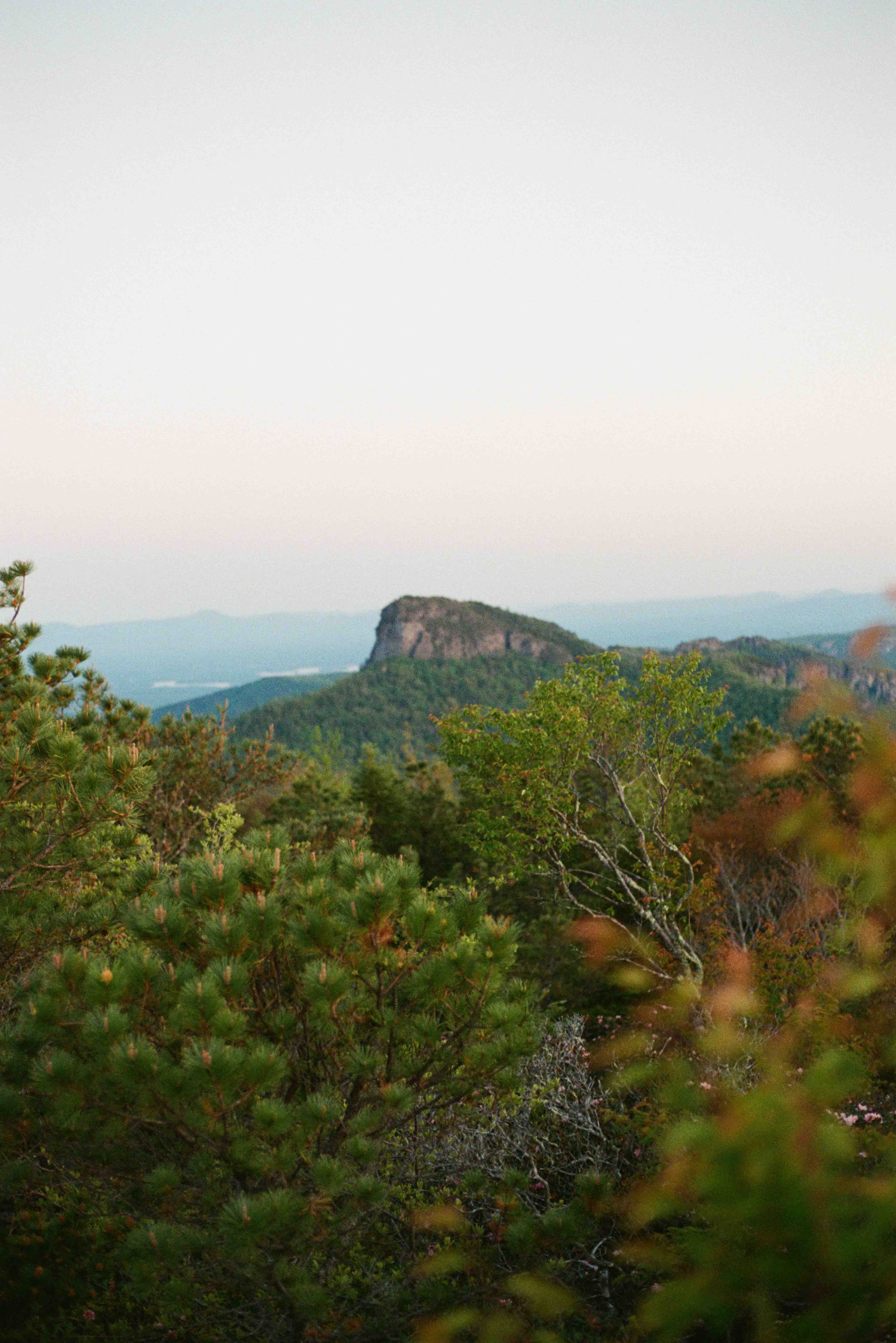 linville gorge film engagement-25.jpg