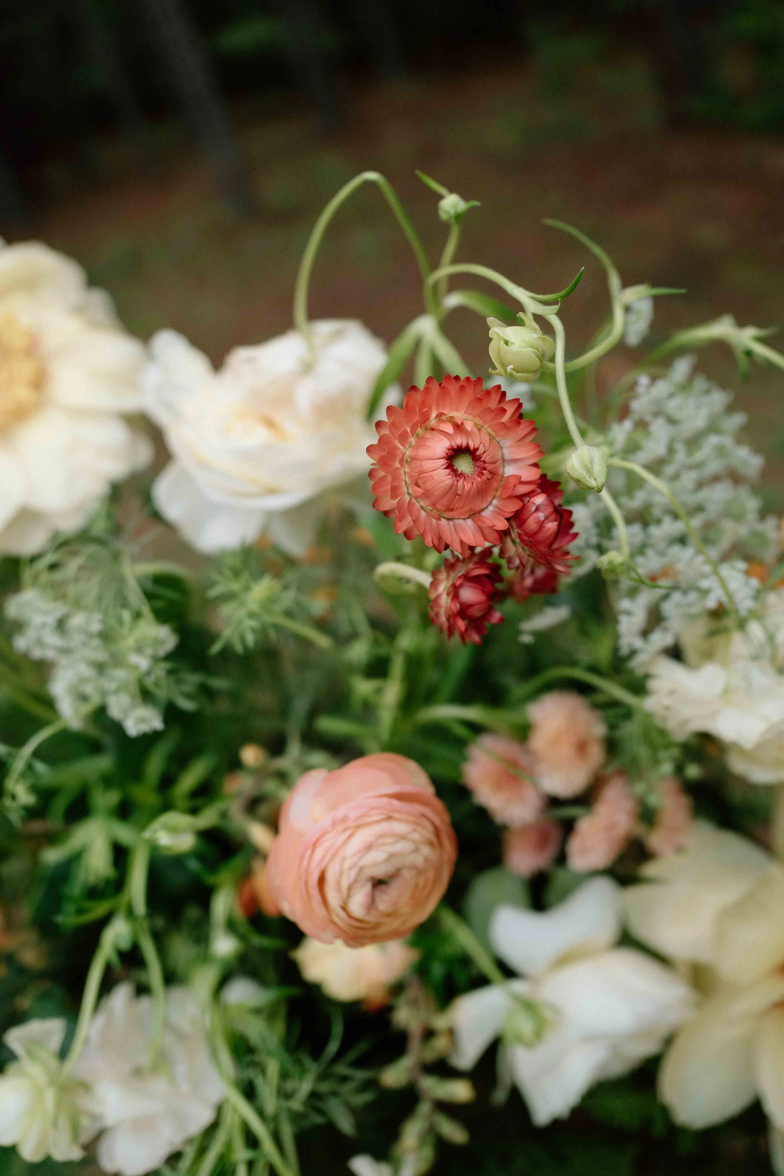 house boheme elopement-5.jpg
