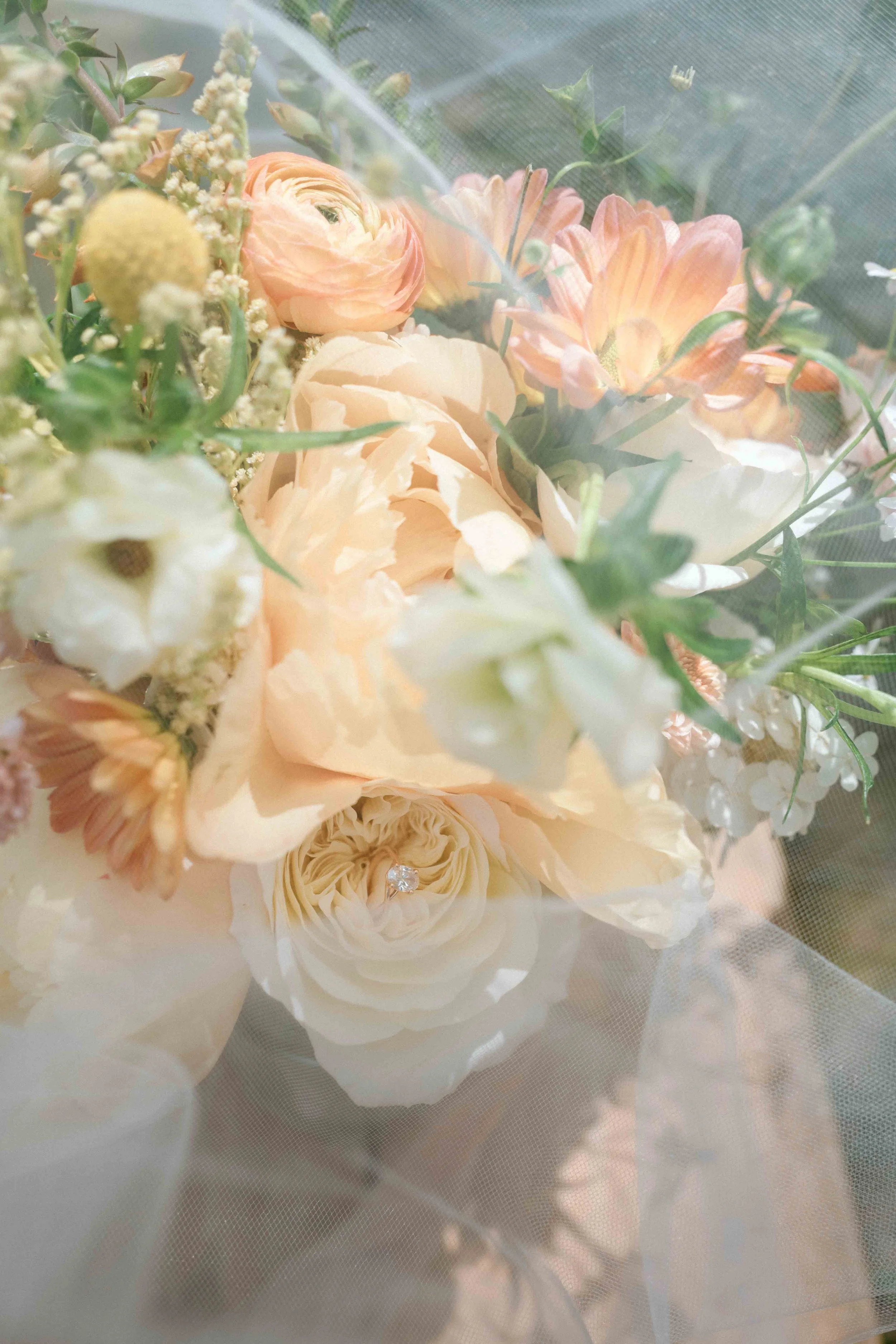 house boheme elopement-8.jpg