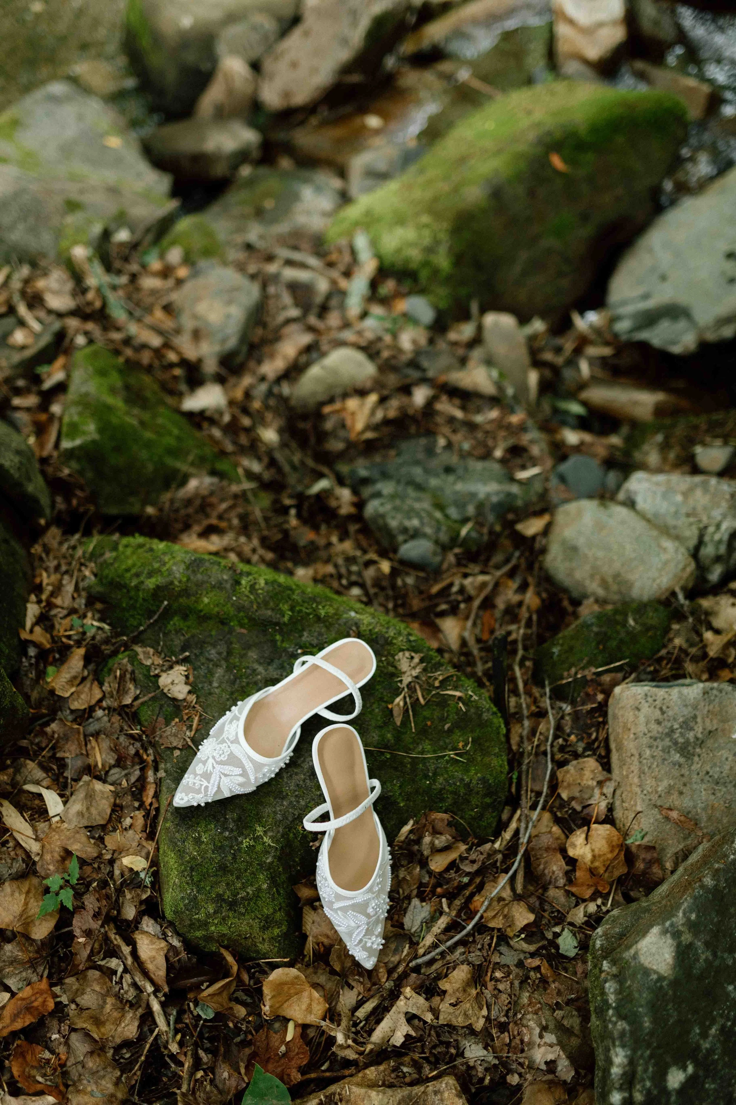 C.Ellis- Gwalex Sneak Peek-14.jpg
