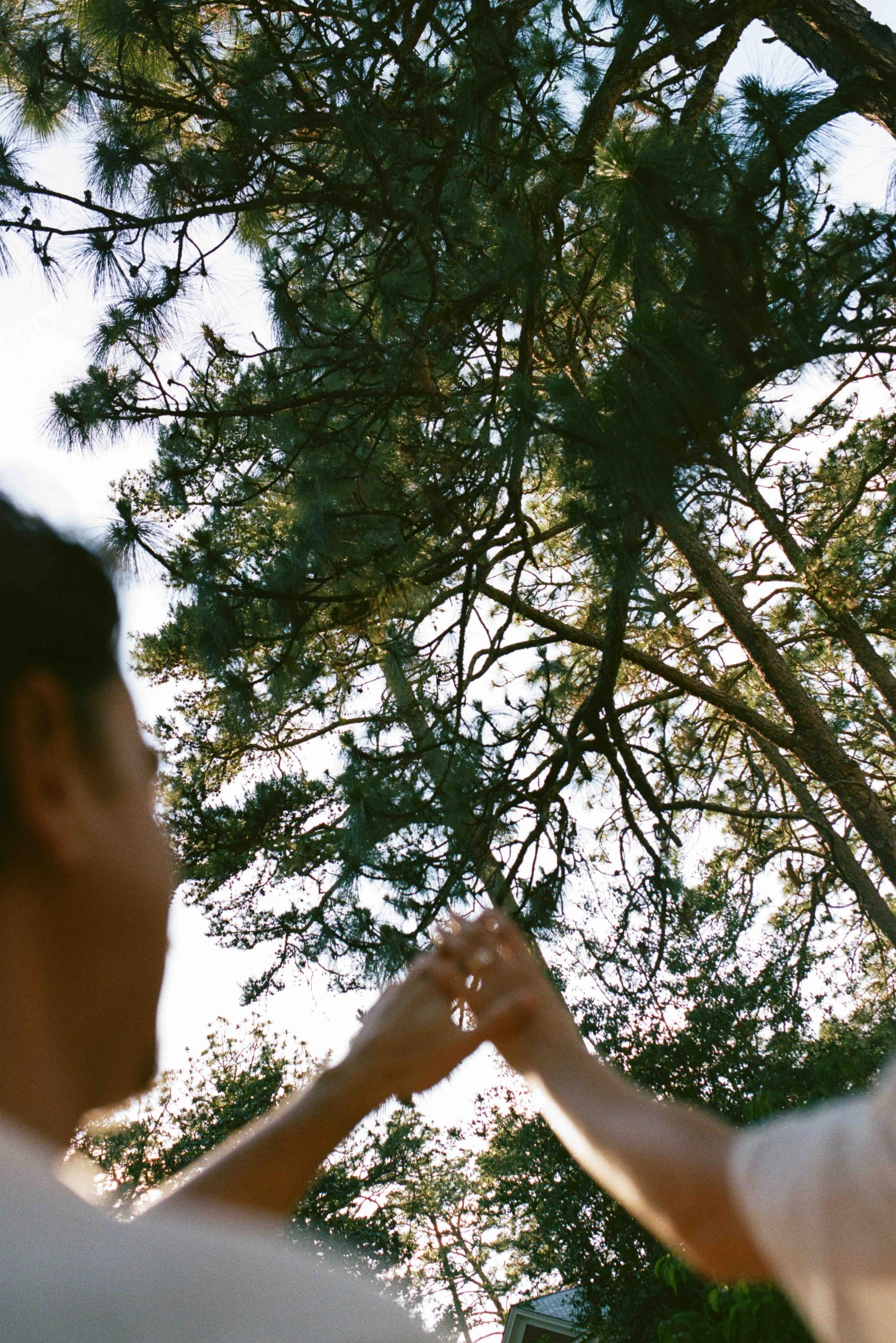 weymouth-center-engagement-session-film-photography-78.jpg