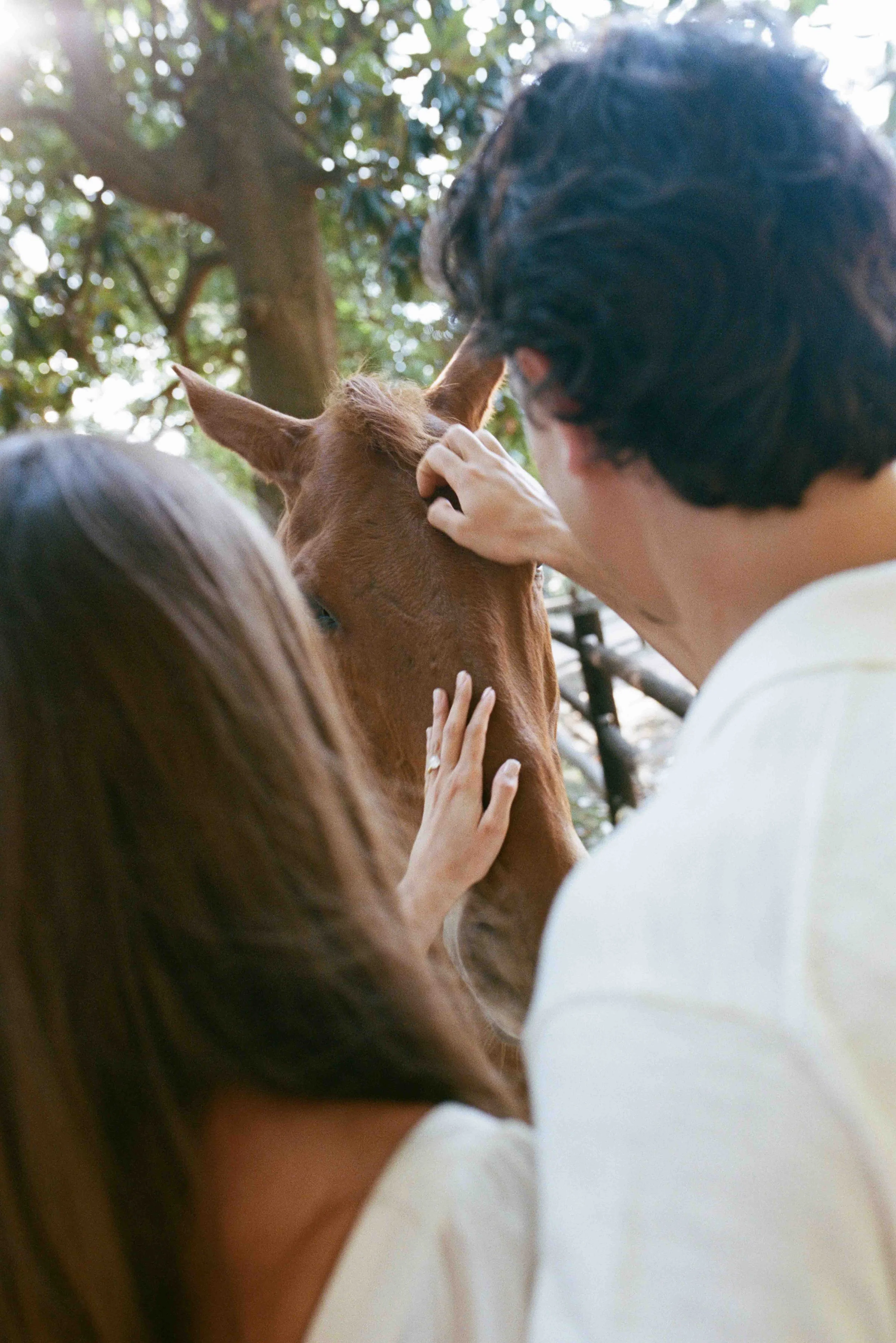 weymouth-center-engagement-session-film-photography-110.jpg