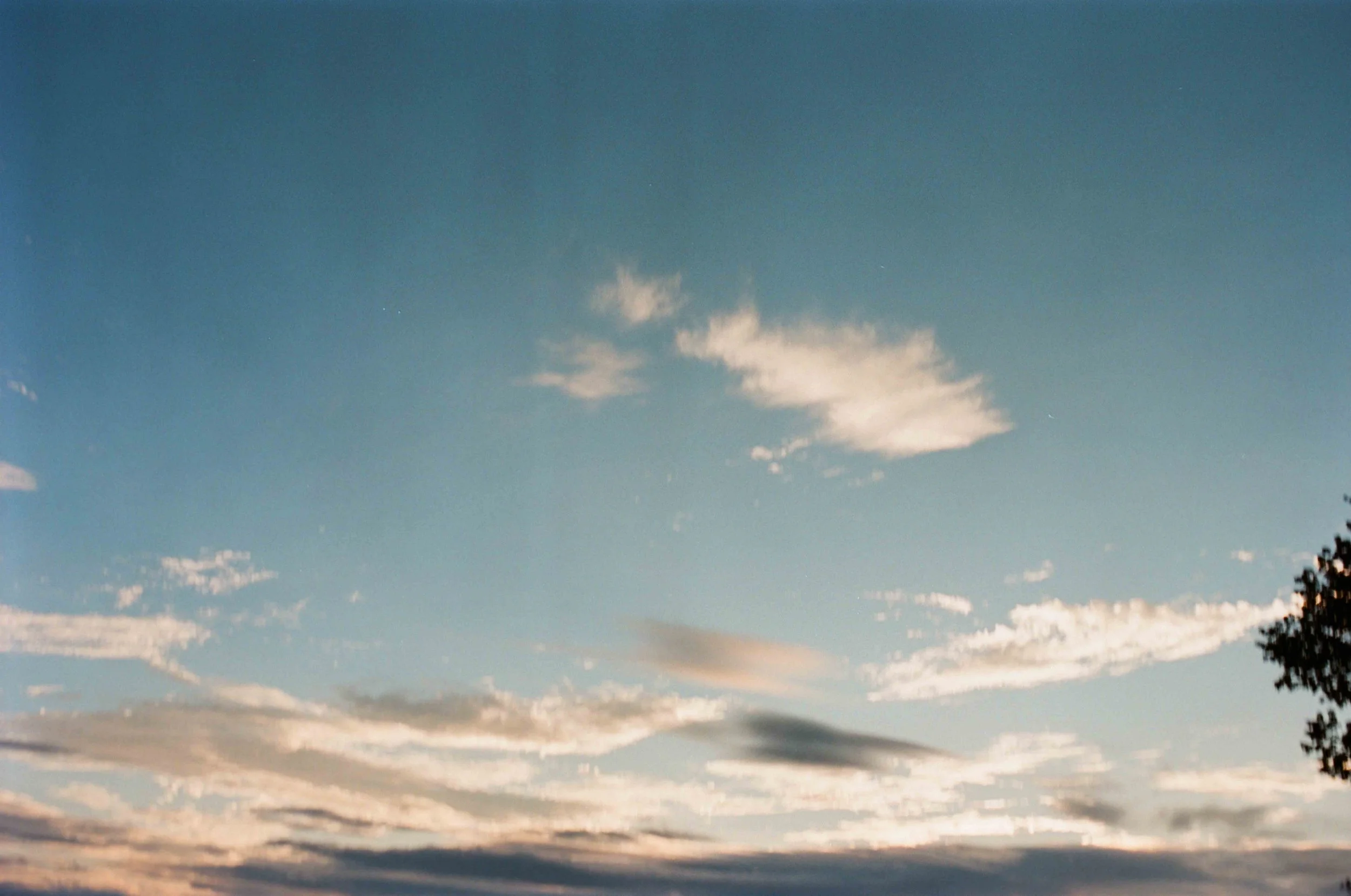 Film Boone Summer Wedding-215.jpg
