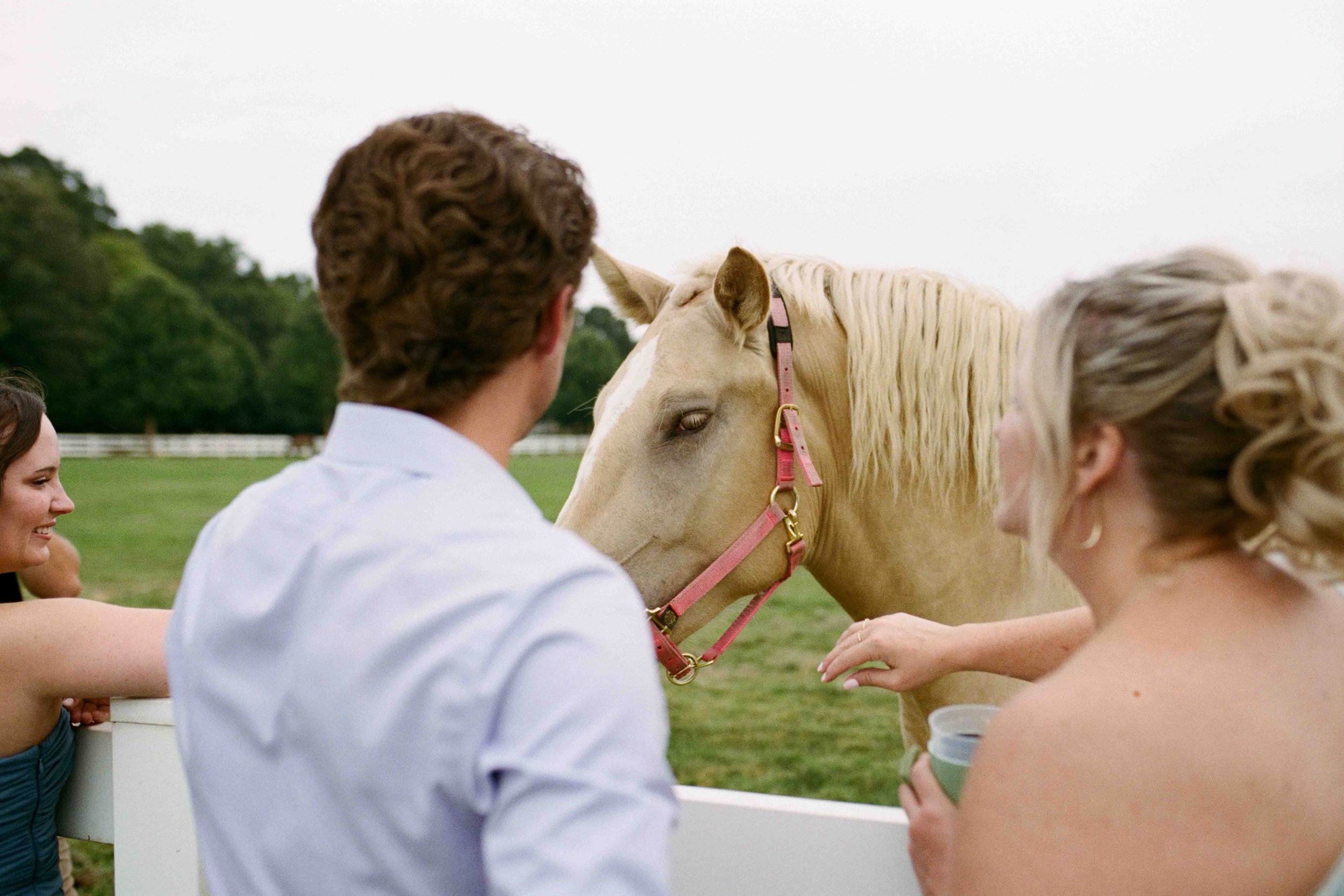 charlotte-film-wedding-candid-photography-54.jpg