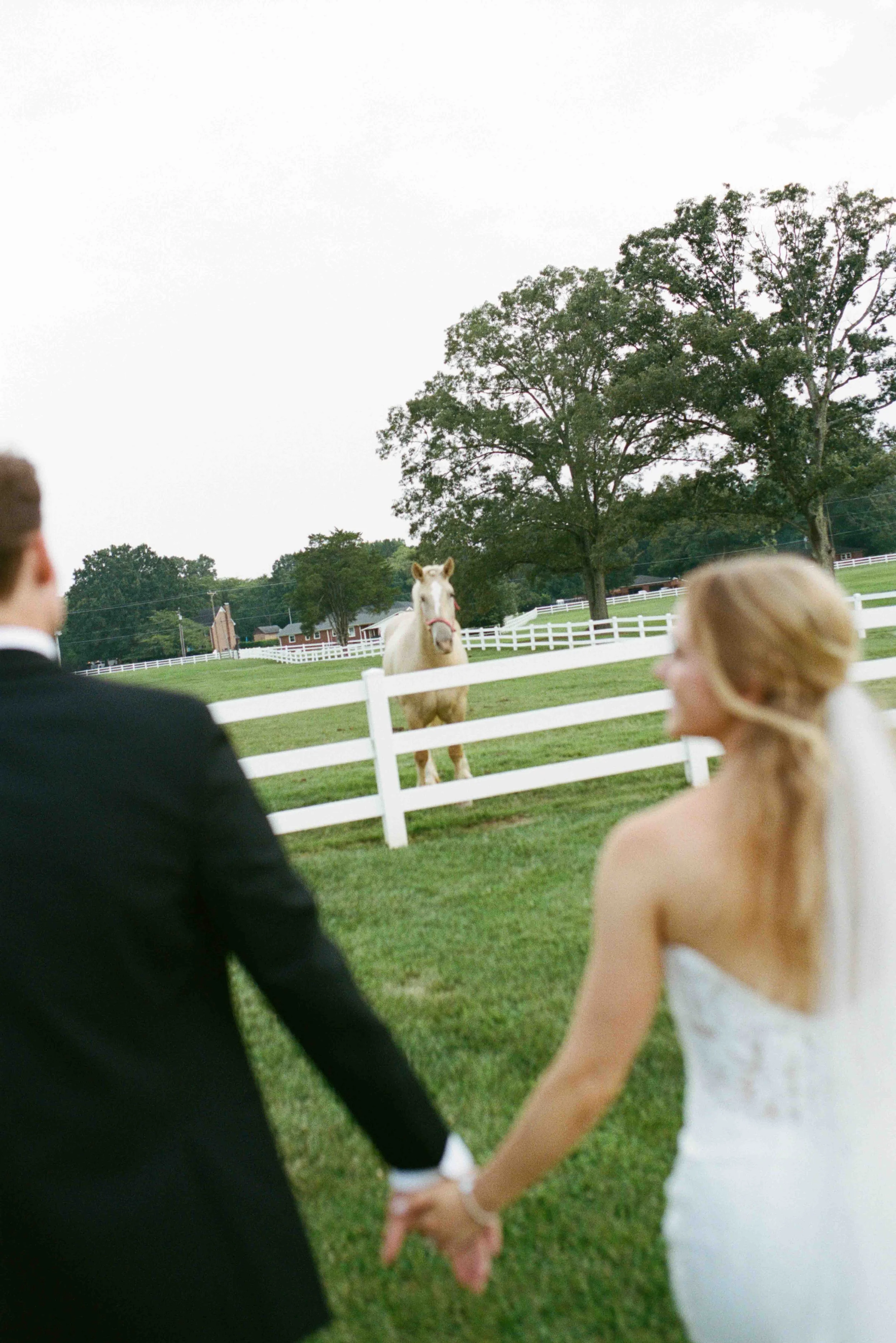charlotte-film-wedding-candid-photography-79.jpg