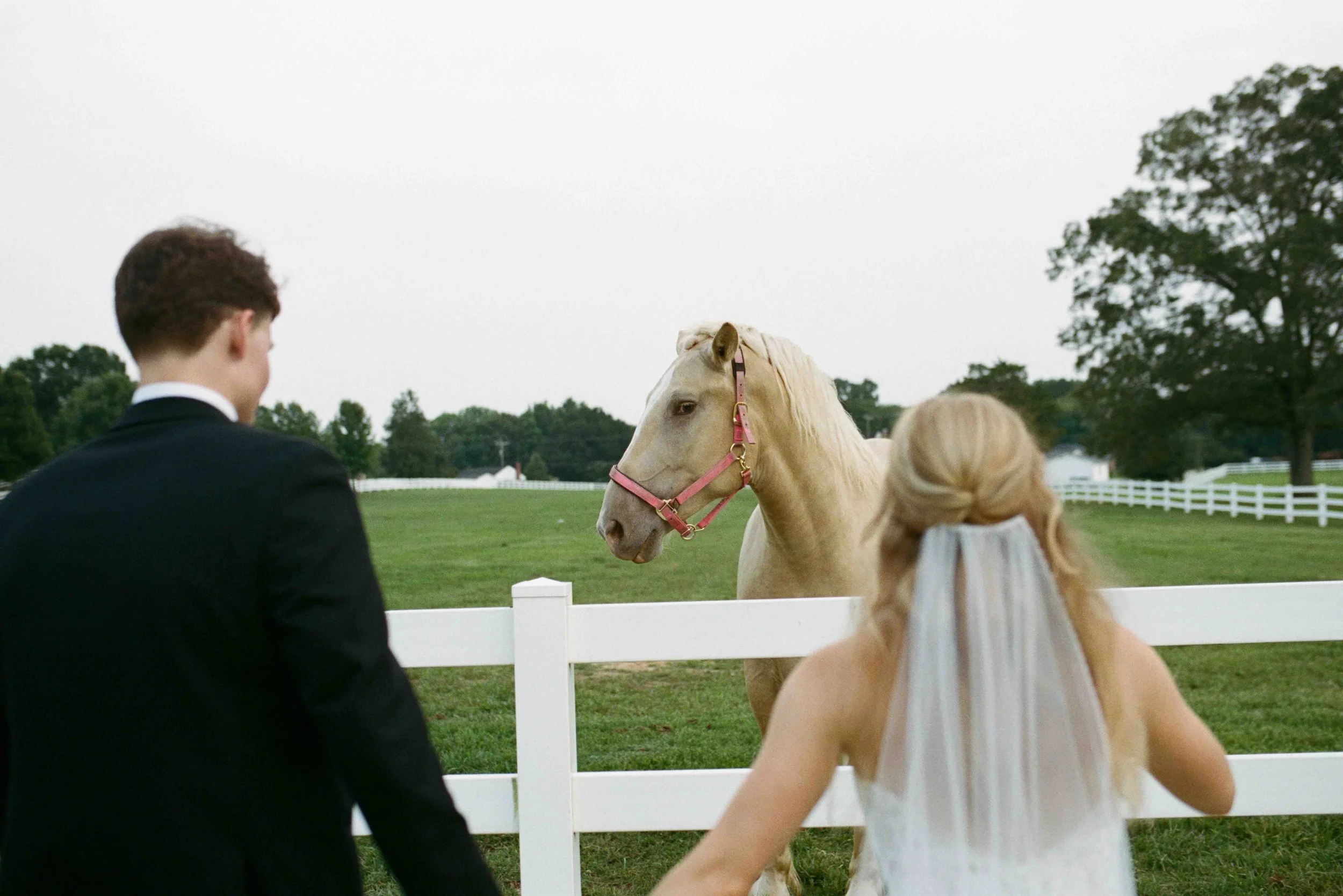 charlotte-film-wedding-candid-photography-80.jpg