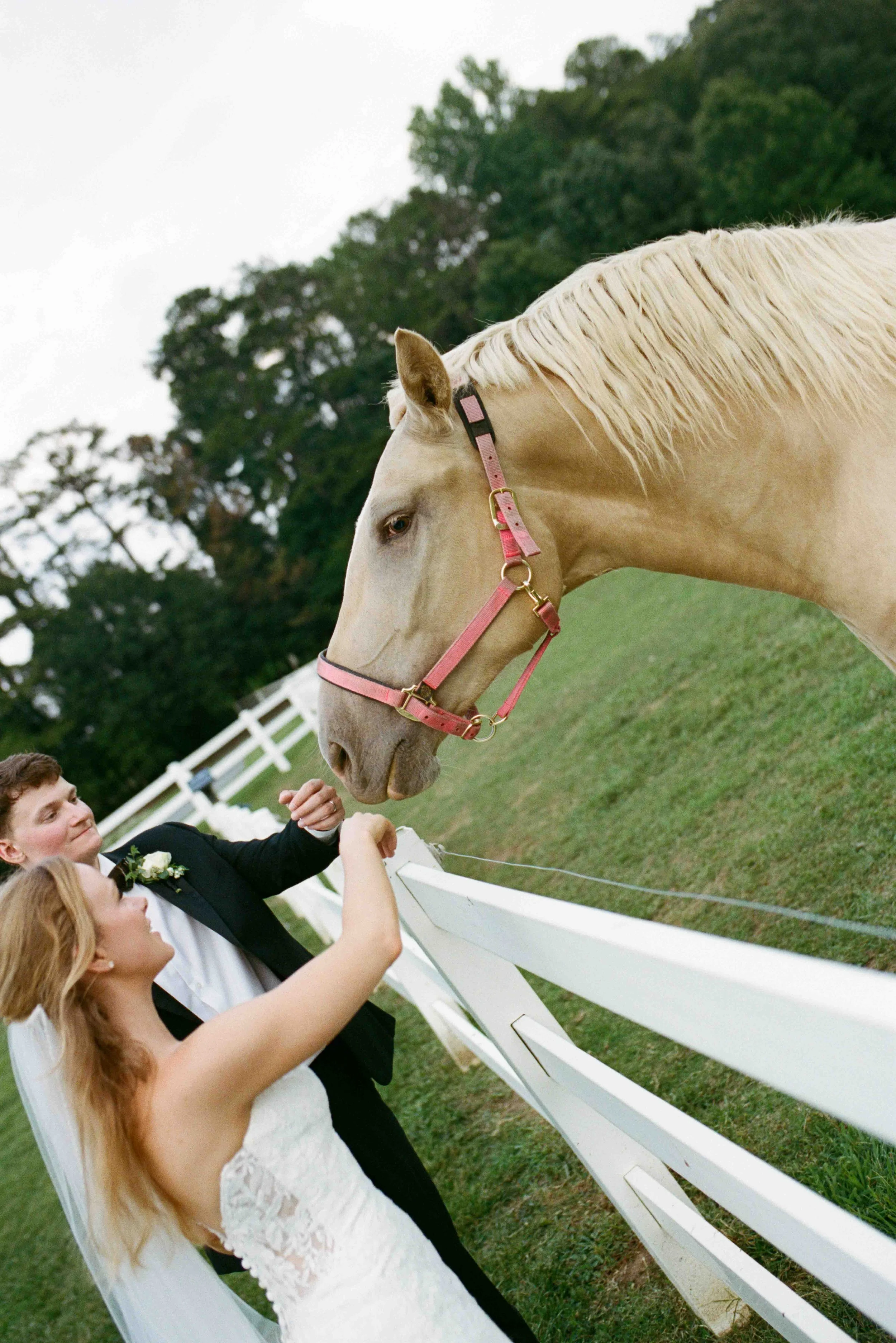 charlotte-film-wedding-candid-photography-81.jpg