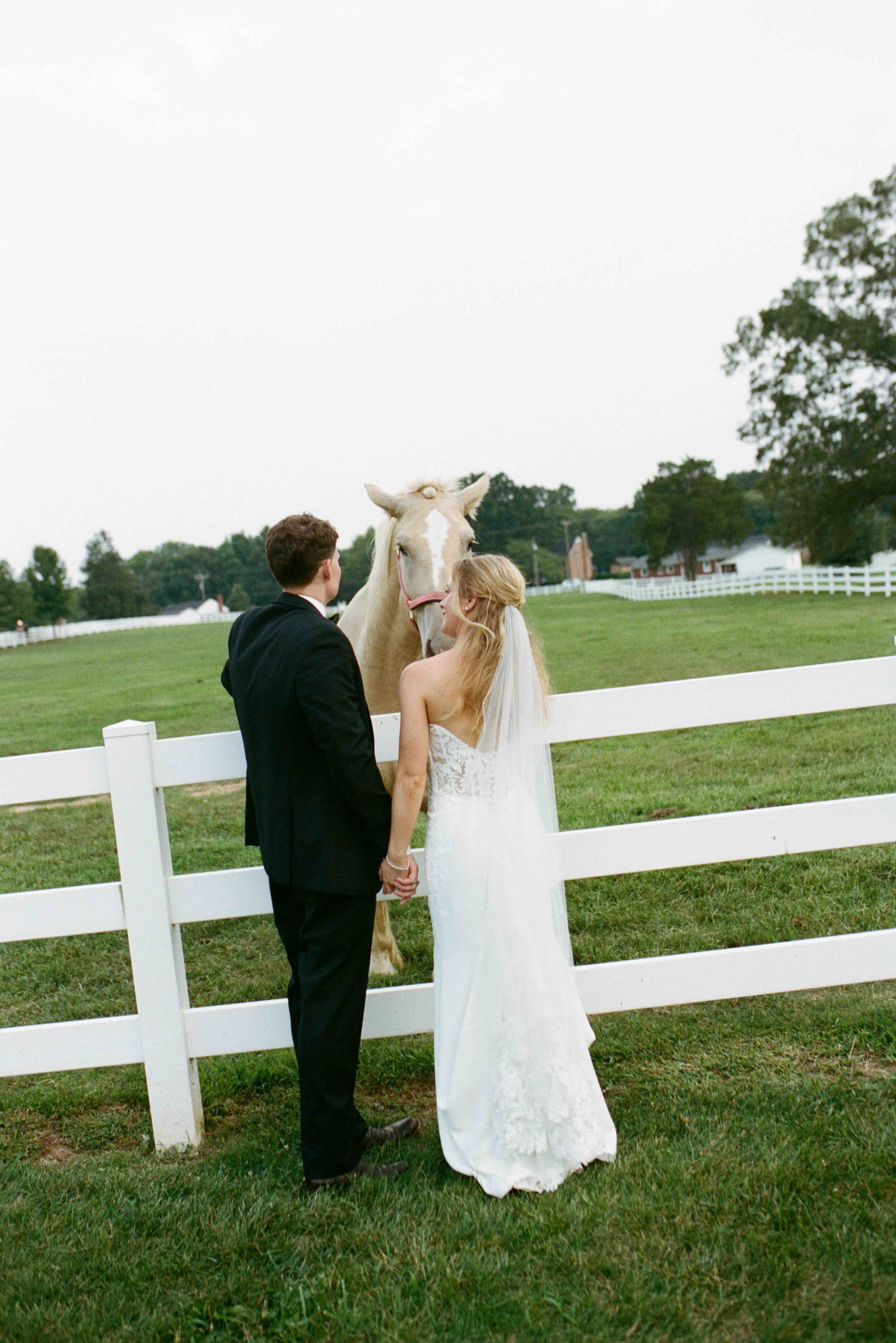 charlotte-film-wedding-candid-photography-83.jpg