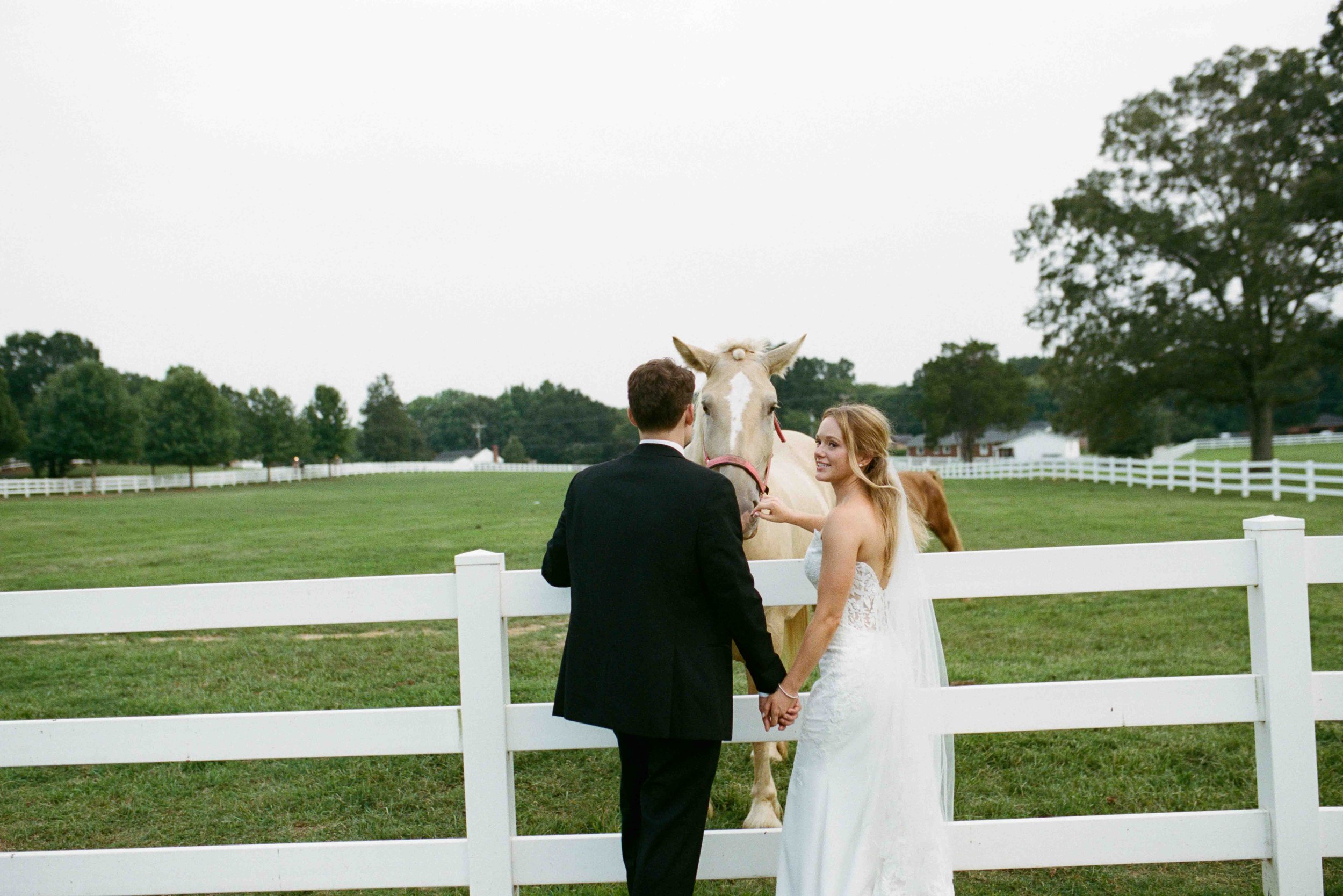 charlotte-film-wedding-candid-photography-84.jpg