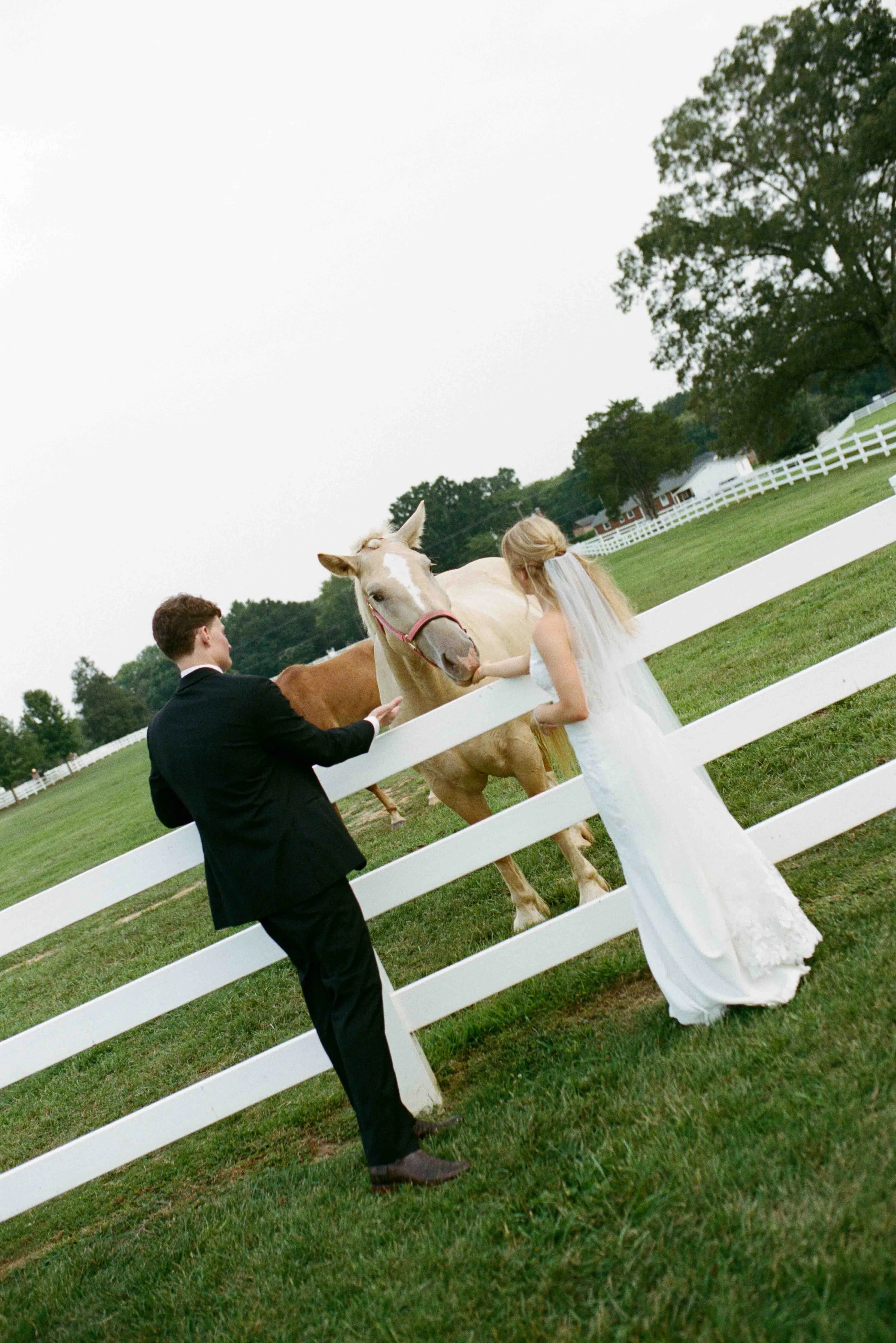 charlotte-film-wedding-candid-photography-85.jpg