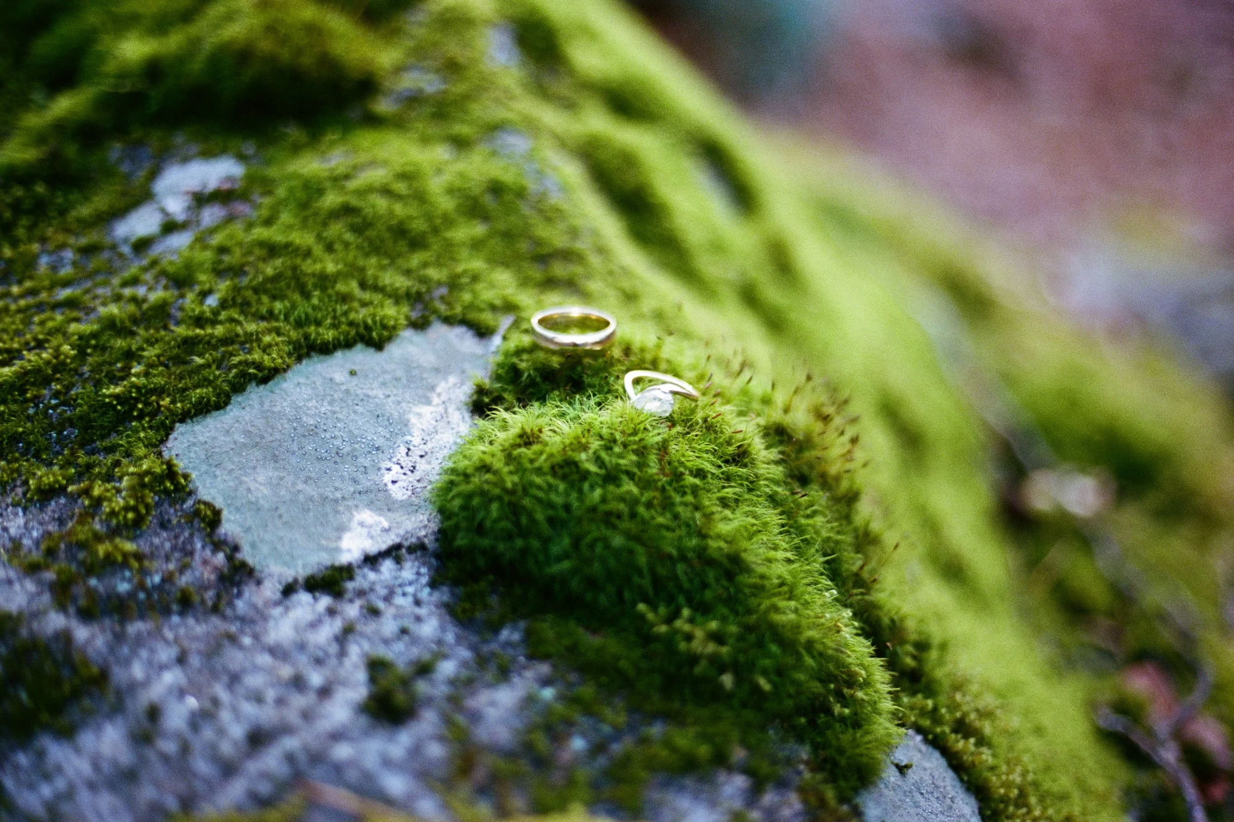 Film scan of a bunch of moss covering a rock with wedding rings sitting on top of the moss