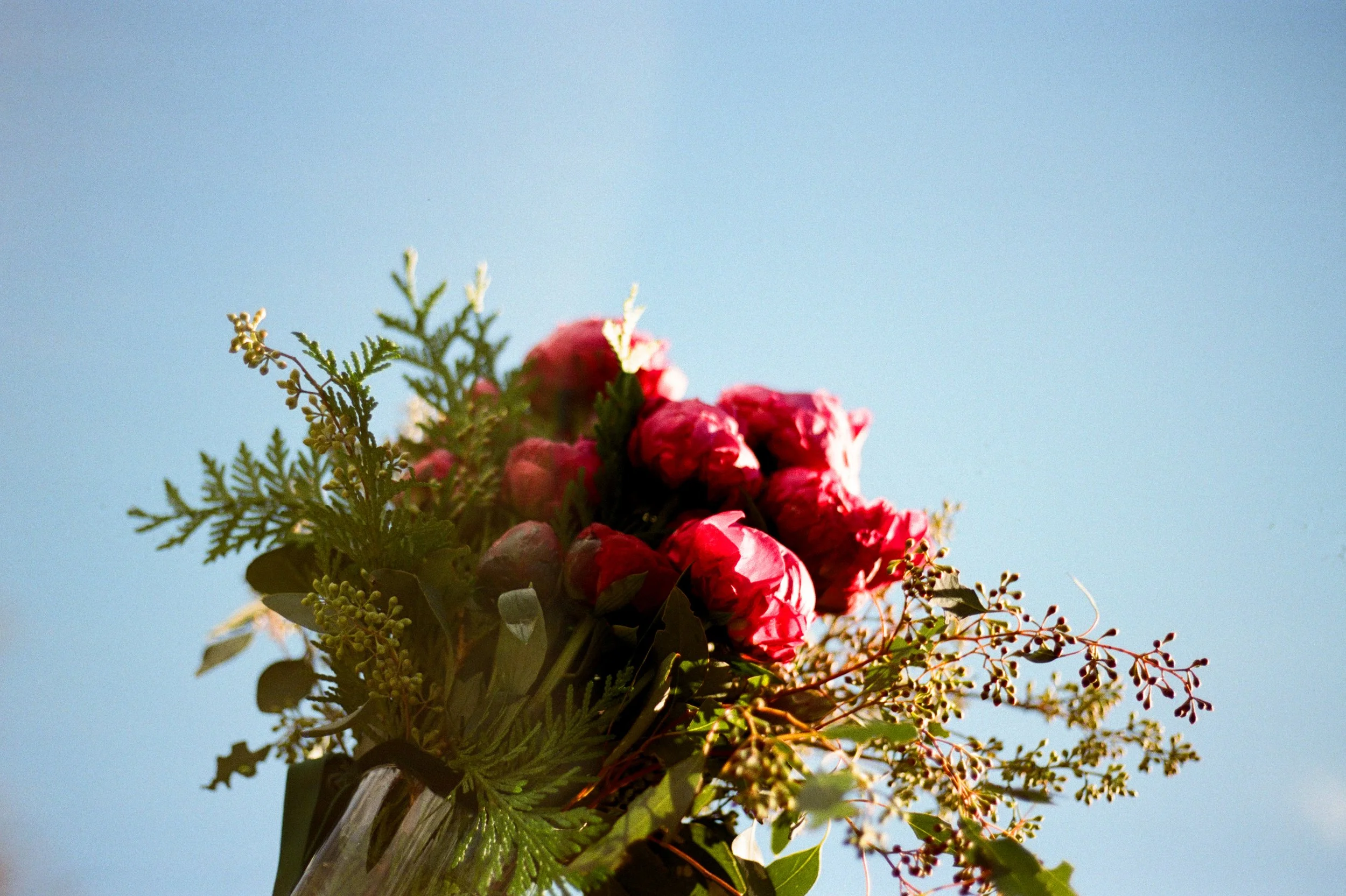 Film scan of a wedding bouquet against a blue sky