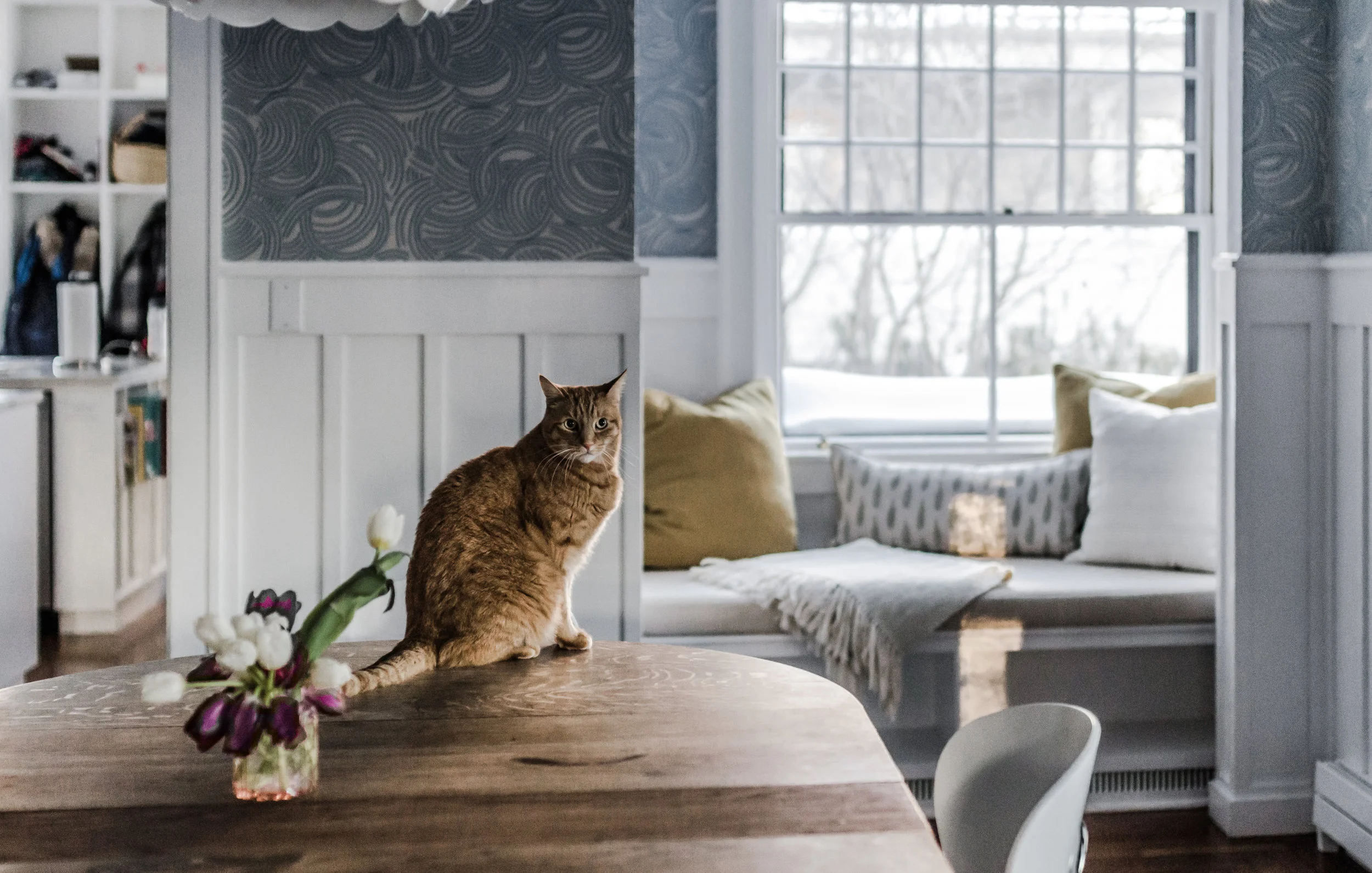 Massachusetts Residential Interiors Photographer