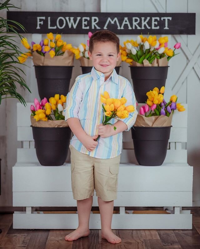 SPRING FLOWER MARKET 🌷 🌷 mini sessions 🌷 🌷 
We proudly present our Tulip Flower Market.
Let&rsquo;s celebrate spring and Easter in our custom photo set, bring your family and let&rsquo;s create beautiful memories. &bull;Pets are welcome &bull;Stu