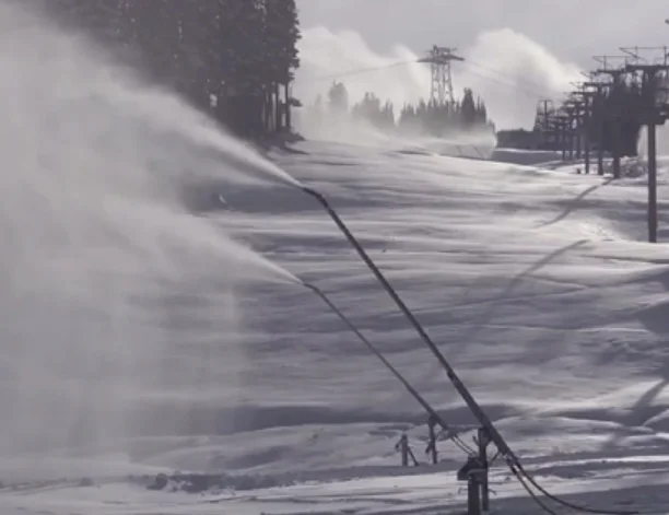 Early Season Notes - Balance