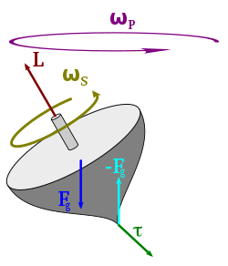 Spinning Top.png