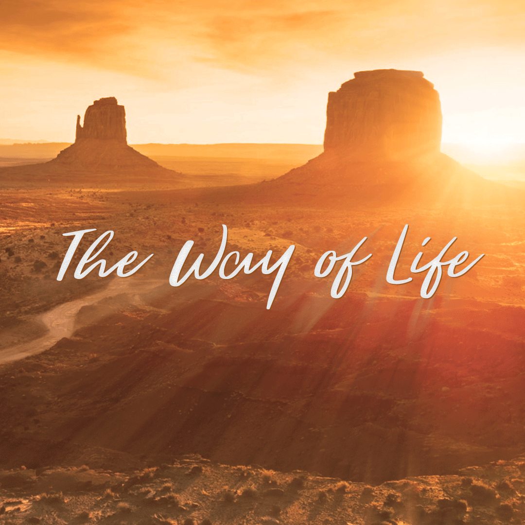 THE WAY OF LIFE | Out of Retirement