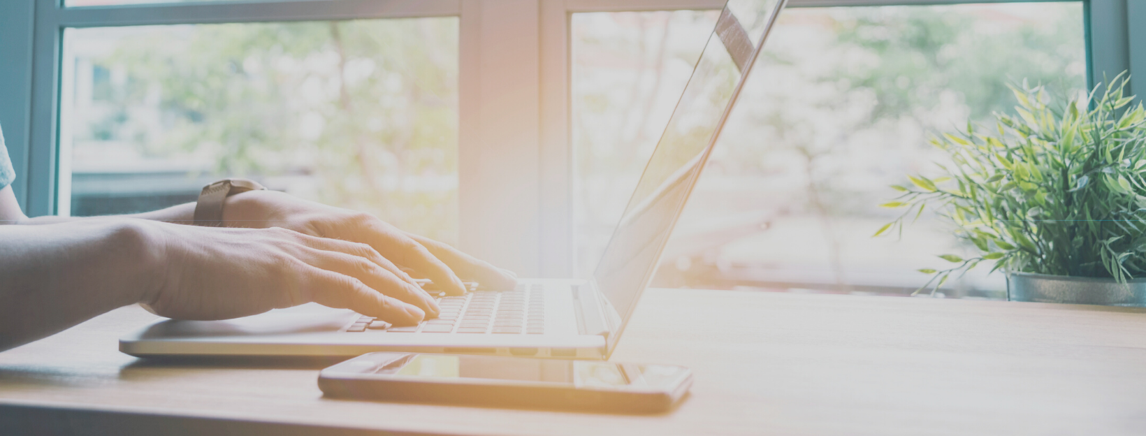 Copy of Untitled.png