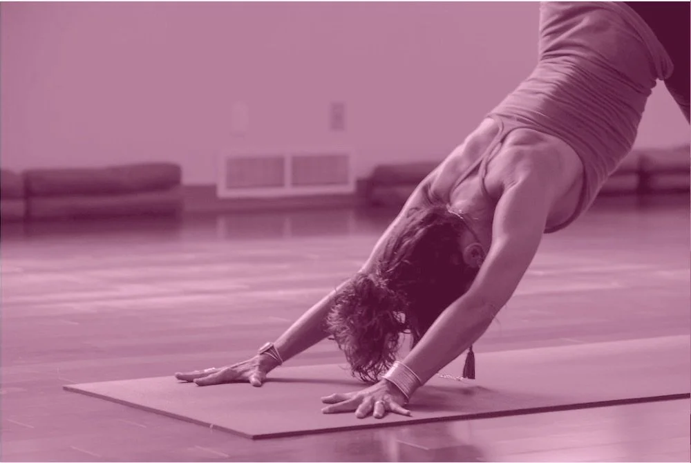 Yoga at the Museum with Sarah Wilhelm