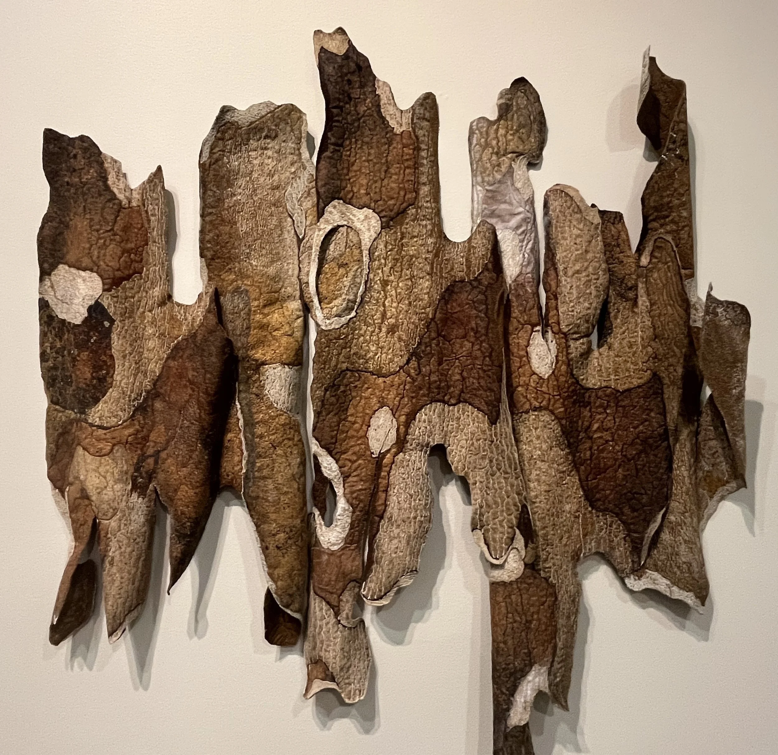 Barbara Schneider_Forest Floor, Tree Bark Fragments, var.10.jpeg