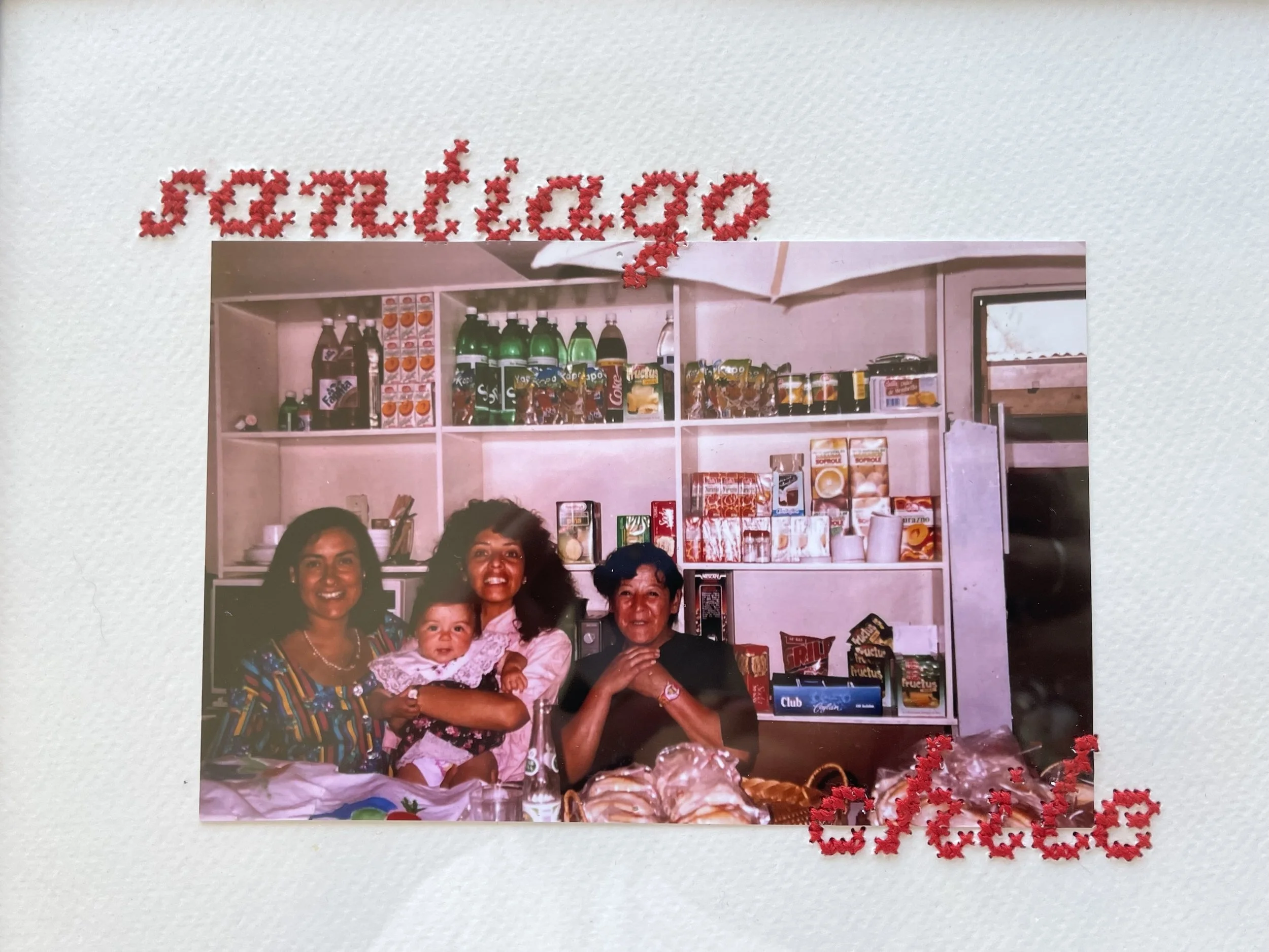 Cross-Stitch Journal with Antonia Lara Sanchez