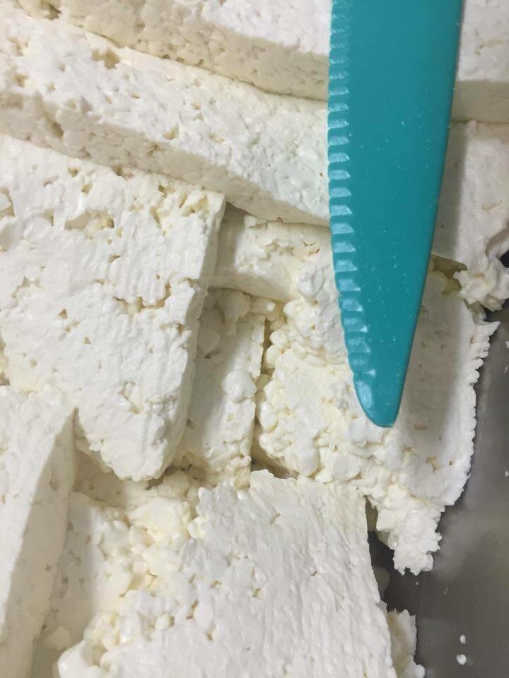 curd cutting.jpg