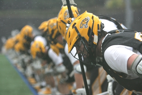 Towson_Fall_26.jpg