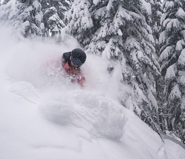 @ingridbackstrom loving Washington pow as seen in The Recipe 🙌 A film by @annethene  title art and concept by @anya_miller. Thanks to @thenorthface @bobsredmill for supporting this project!