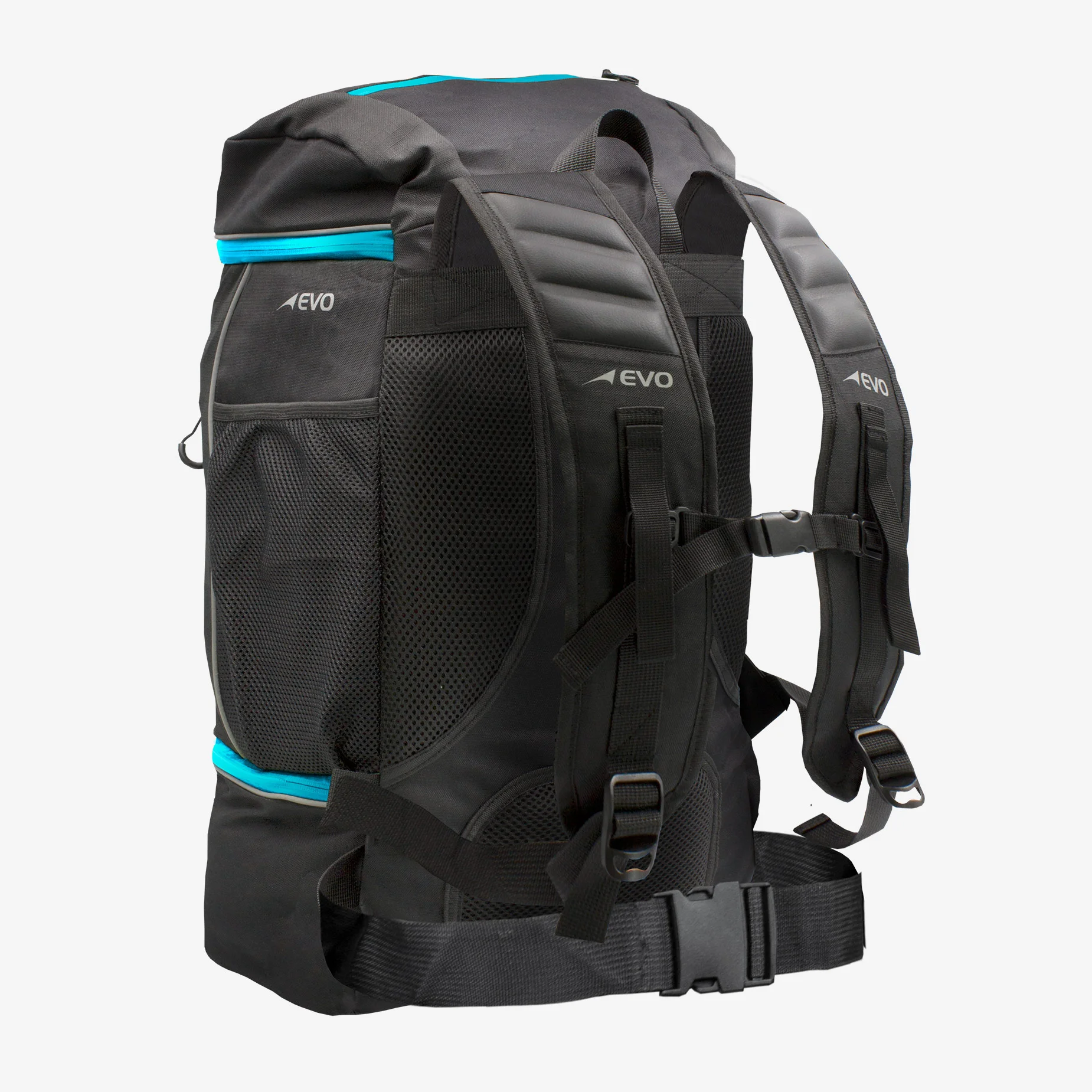Cyan Back.jpg