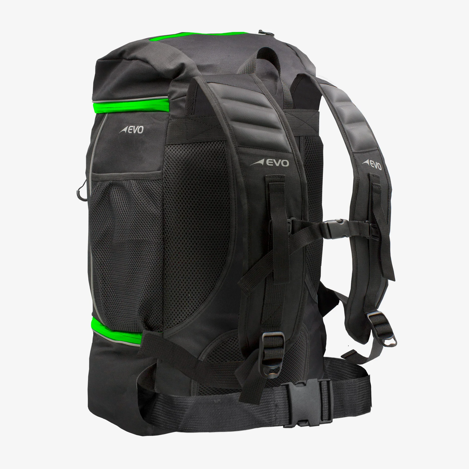 Green Back.jpg
