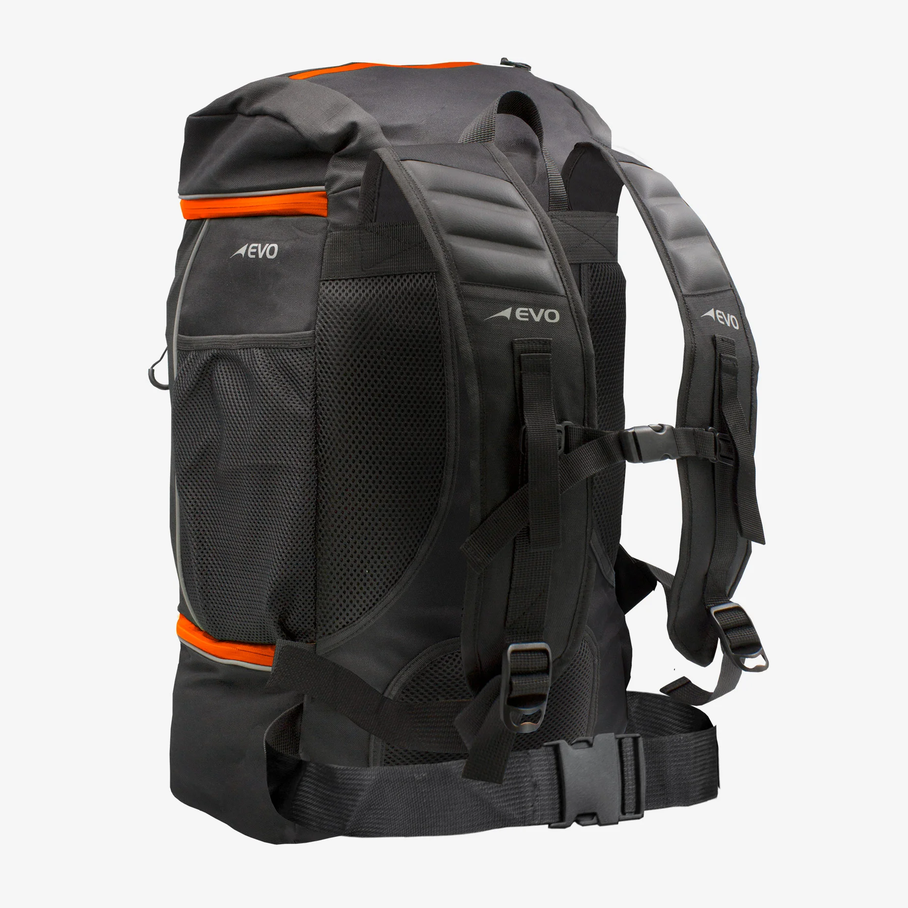 Orange Back.jpg