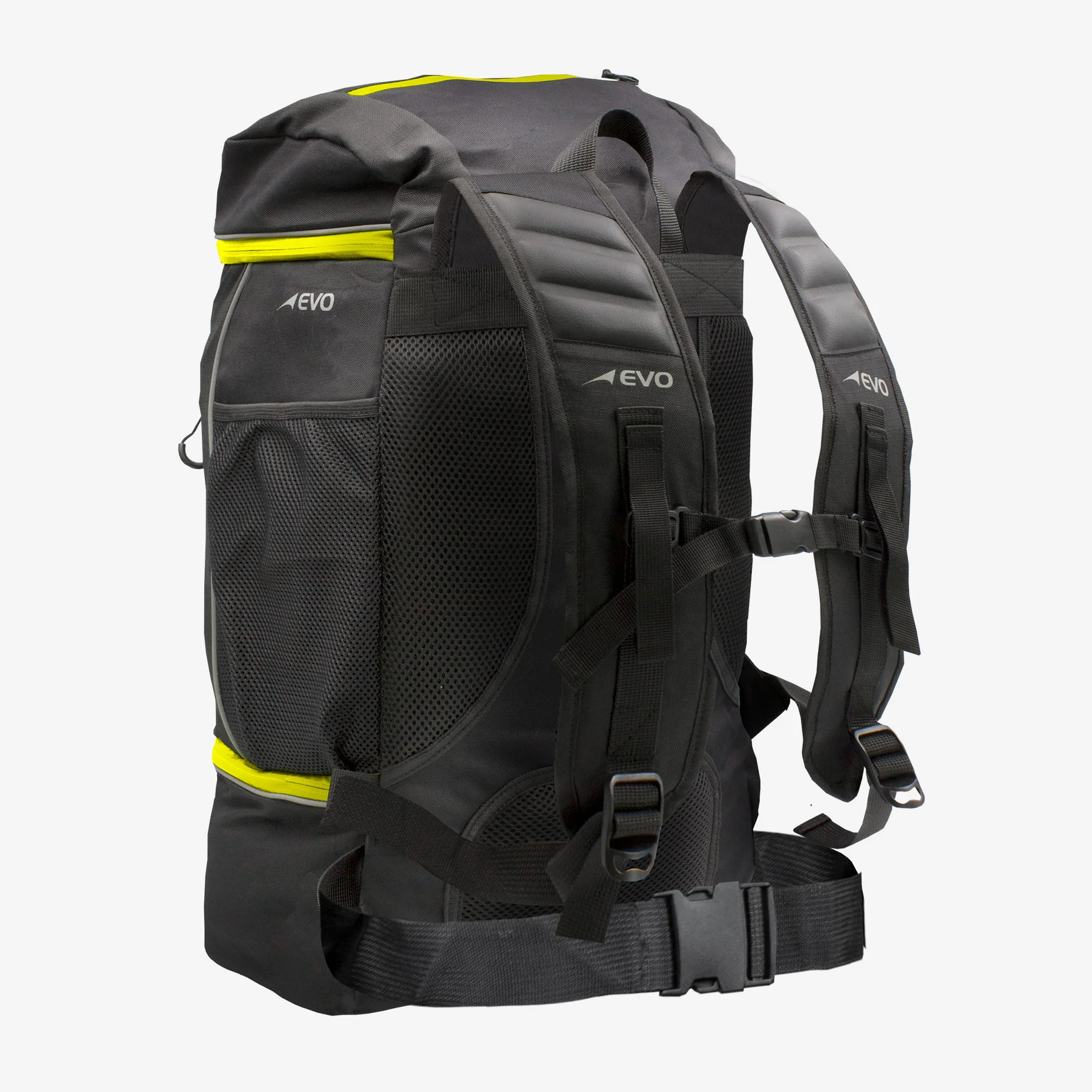 Yellow Back.jpg