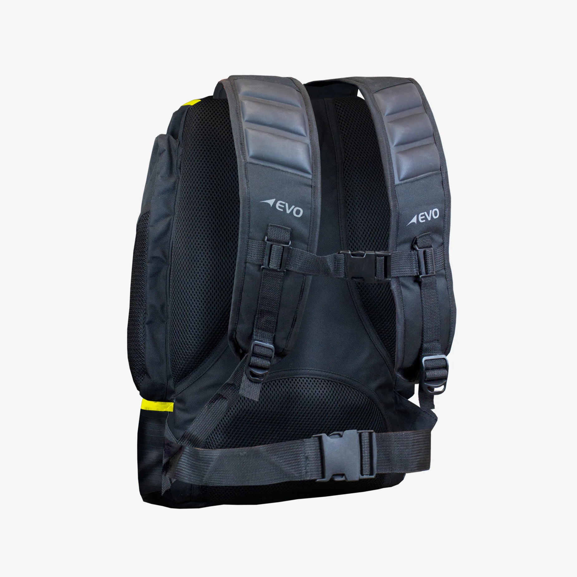 Yellow Back.jpg