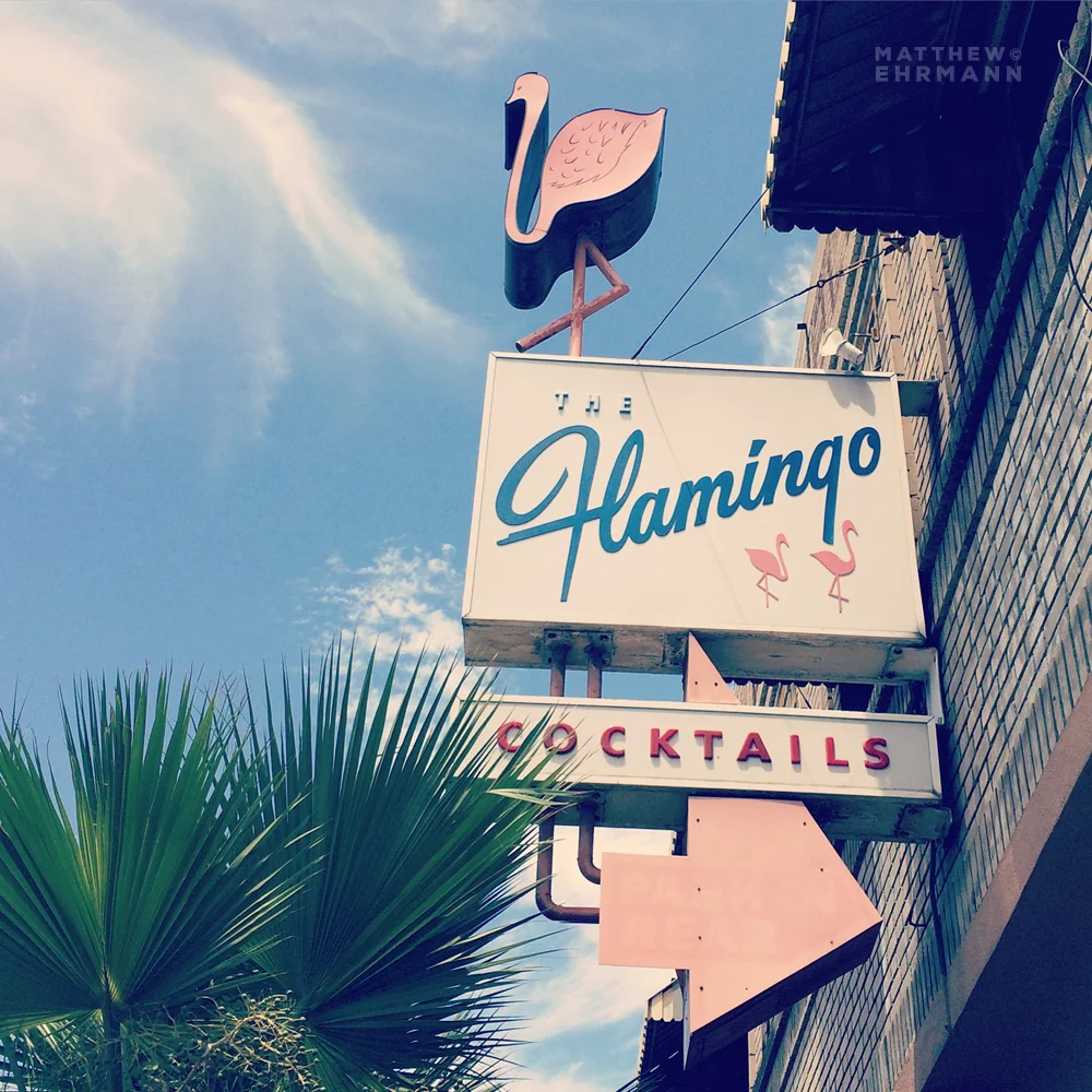 Flamingo