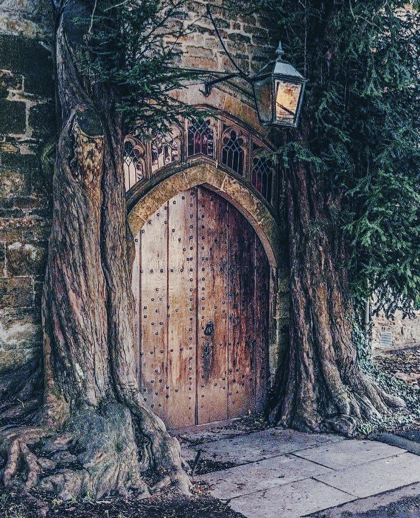 Would you enter through this magical doorway?

Credit: unknown