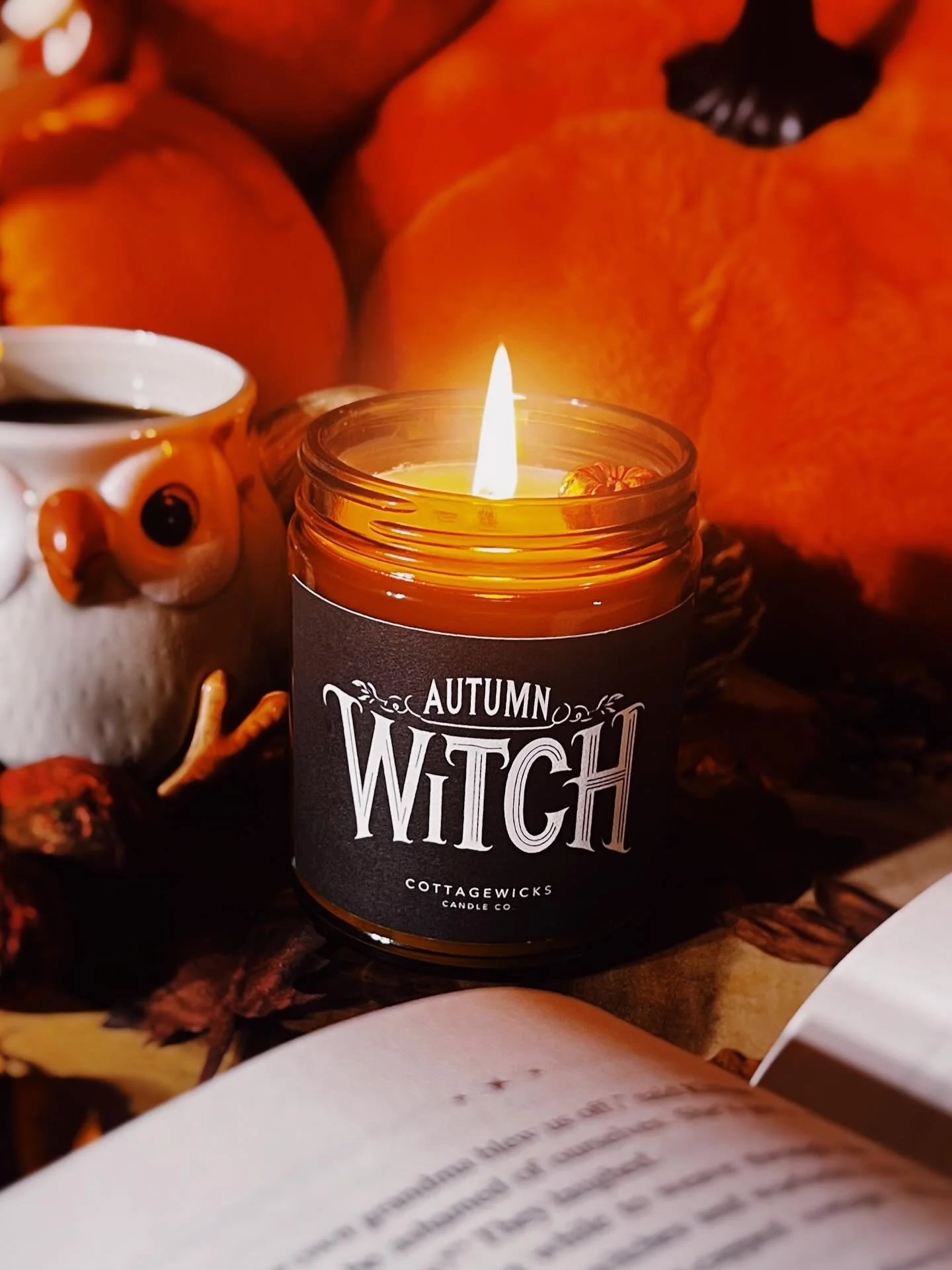 🍁 Autumn Witch

Spellbound Scented Candle

As twilight falls and leaves swirl in golden spirals, the Autumn Witch stirs her fragrant brew&hellip; ✨
Close your eyes and be swept into her spell&mdash;where orchard apples whisper, cinnamon curls throug