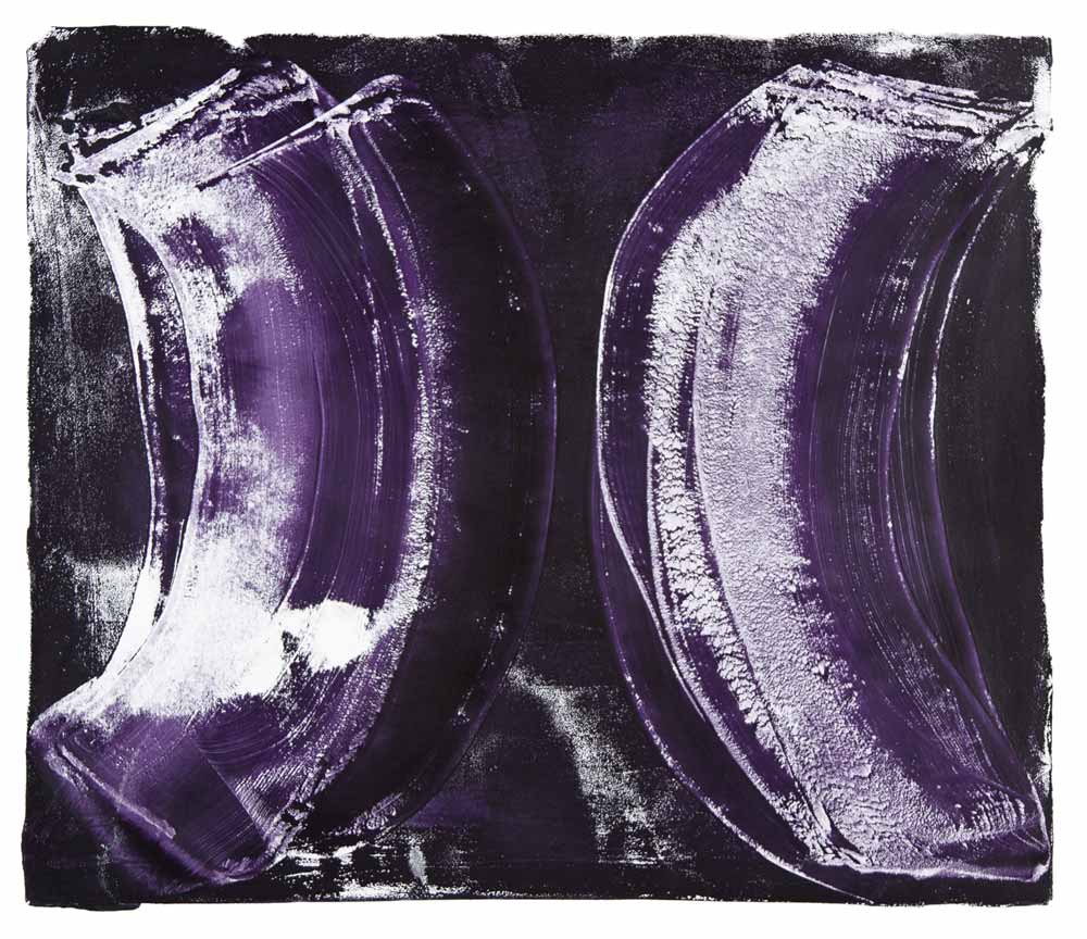   Ribs 4,  2017 Monotype Image 12 x 14 in. Sheet 16 x 18 in. 