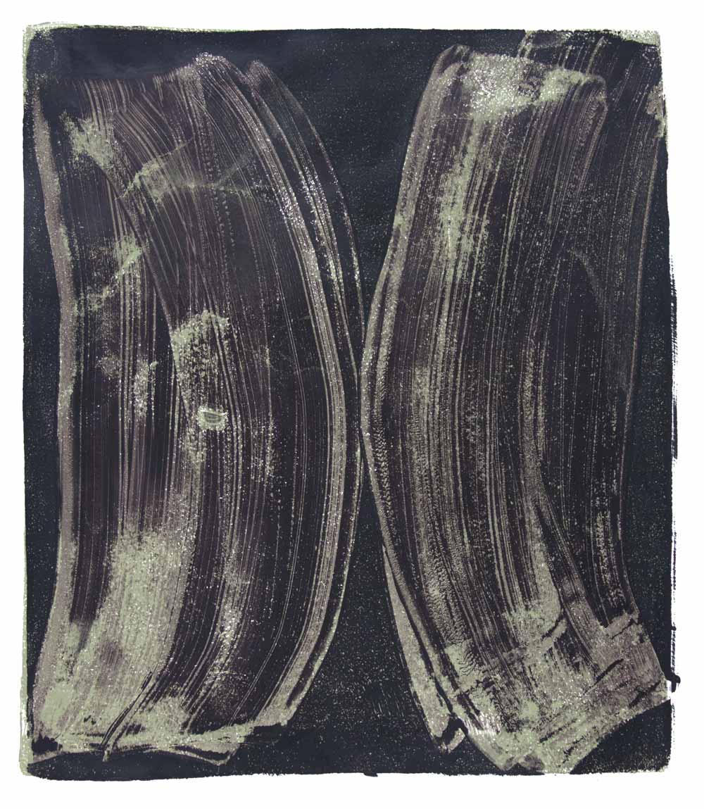   Ribs 11,  2017 Monotype Image 14 x 12 in. Sheet 18 x 16 in. 