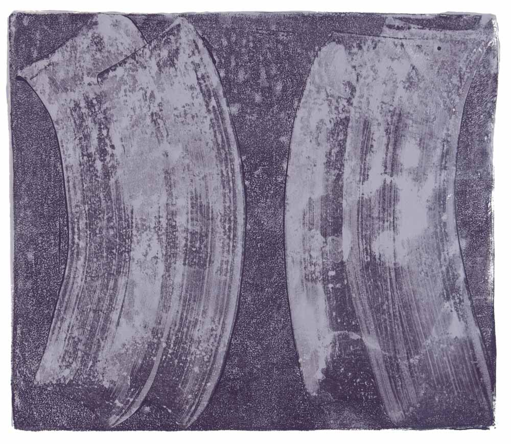   Ribs 13,  2017 Monotype Image 12 x 14 in. Sheet 16 x 18 in. 