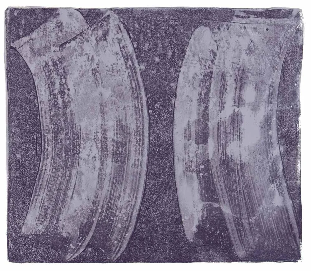 Ribs 13, 2017 Monotype Image 12 x 14 in. Sheet 16 x 18 in.