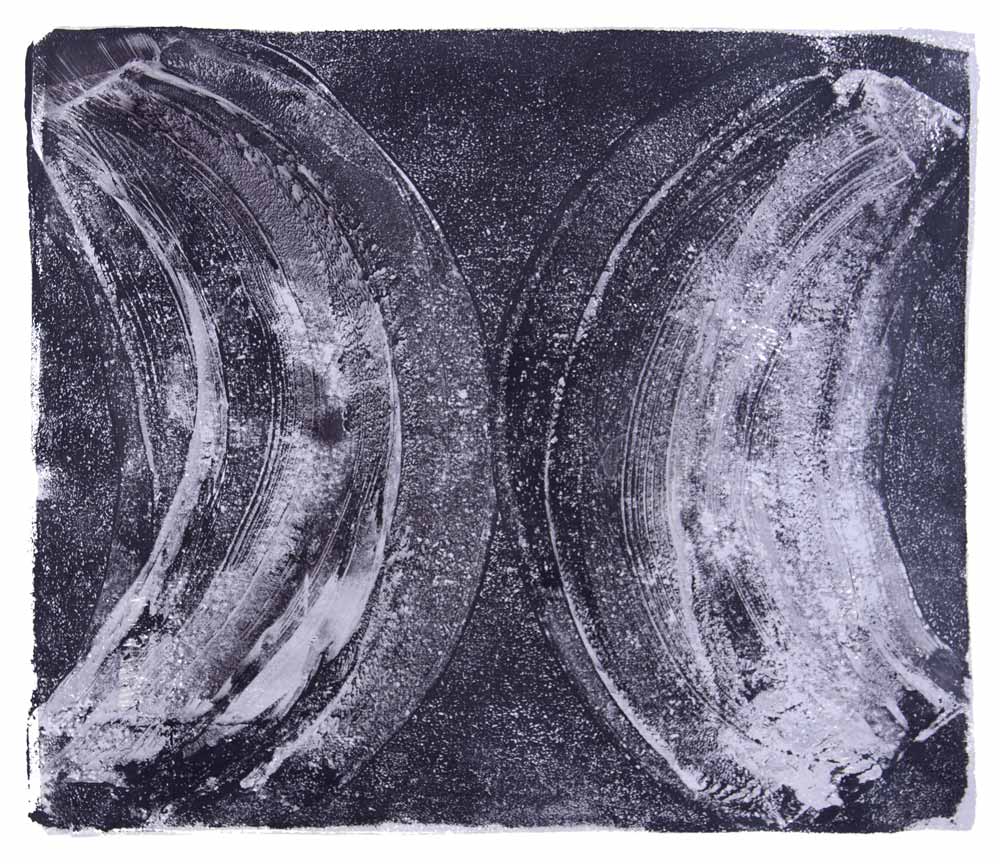   Ribs 15,  2017 Monotype Image 12 x 14 in. Sheet 16 x 18 in. 