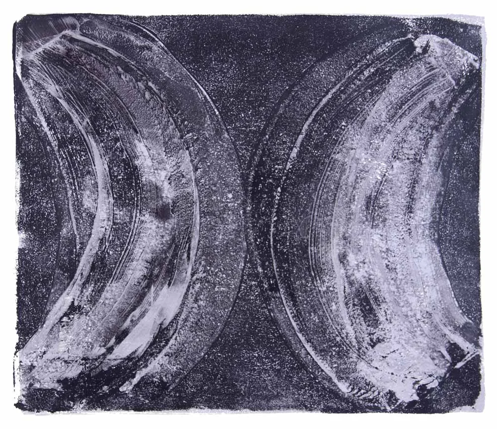 Ribs 15, 2017 Monotype Image 12 x 14 in. Sheet 16 x 18 in.