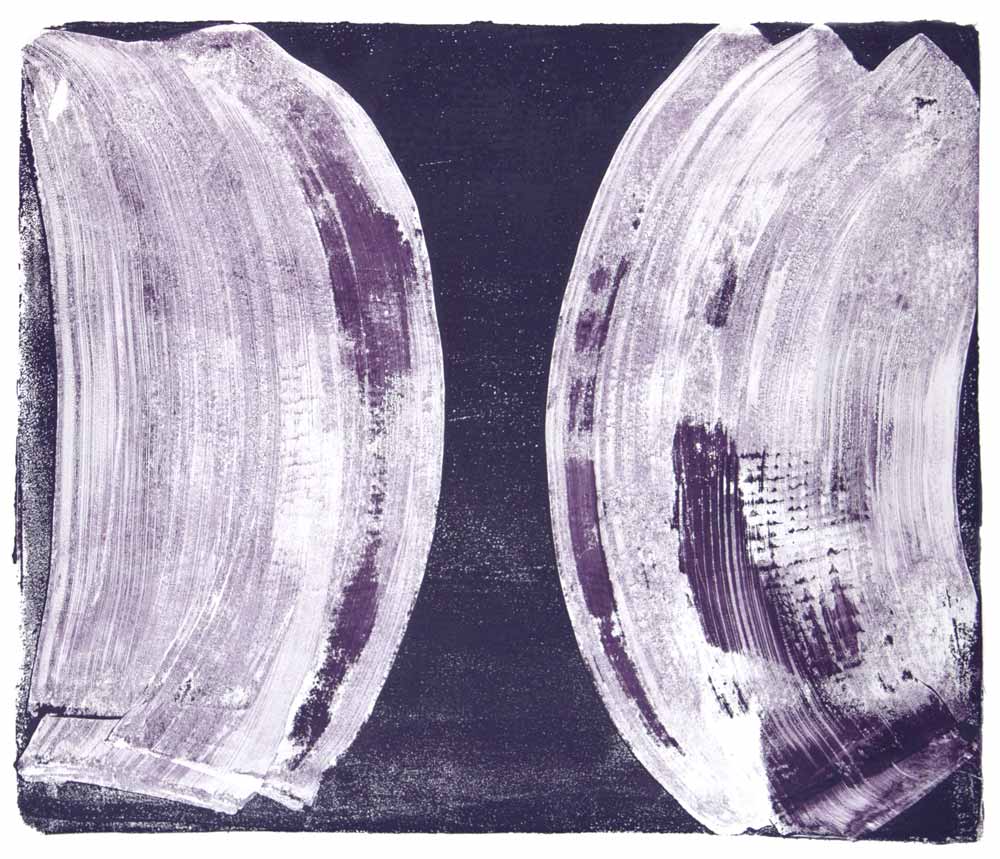 Ribs 17, 2017 Monotype Image 12 x 14 in. Sheet 14.75 x 18 in.