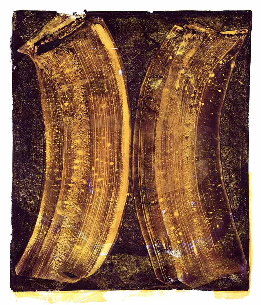 Ribs 8, 2017 Monotype Image 14 x 12 in. Sheet 18 x 16 in.