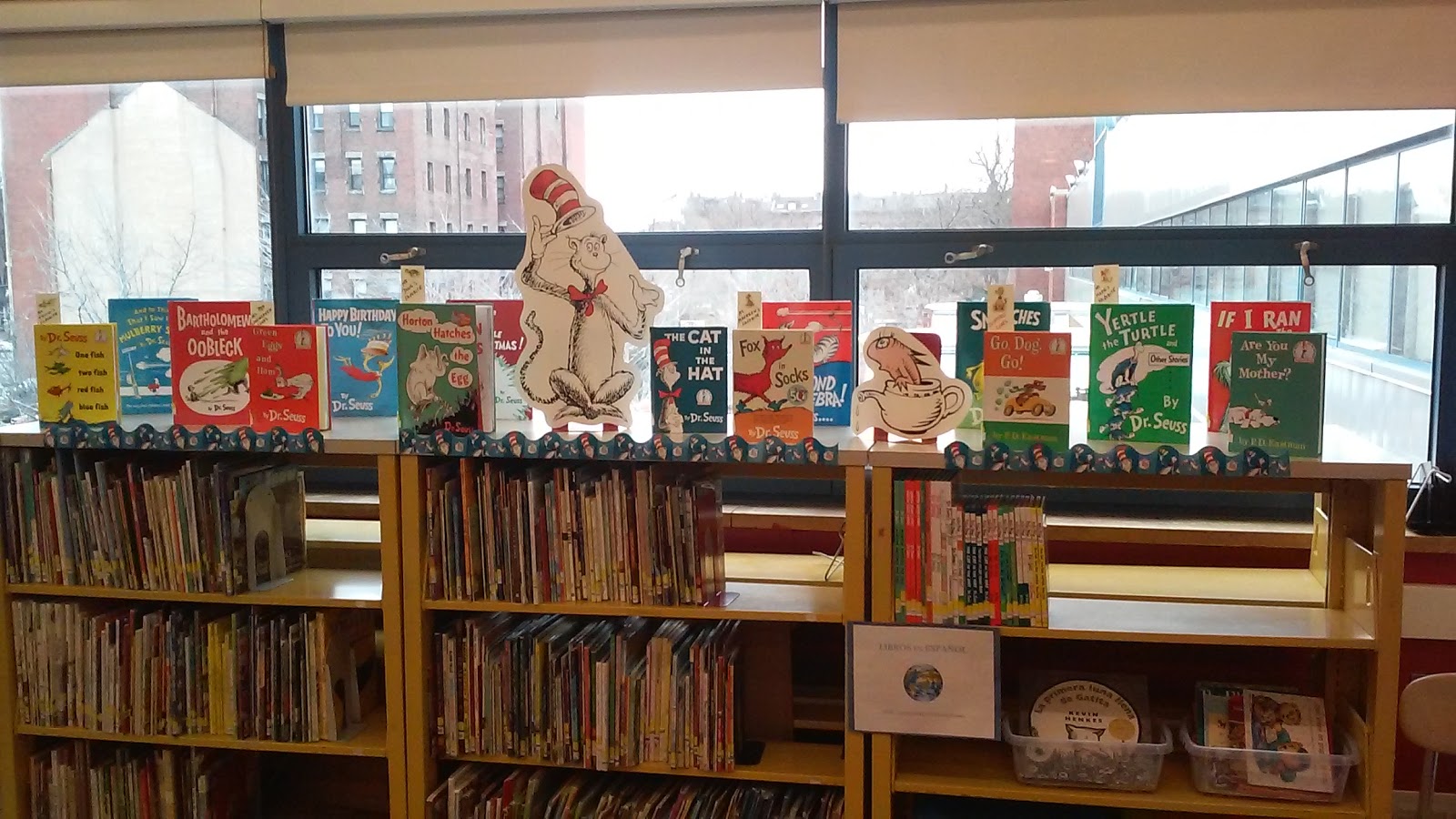 St. Stephen's Youth Programs has been coordinating the Blackstone Library for 6 years.