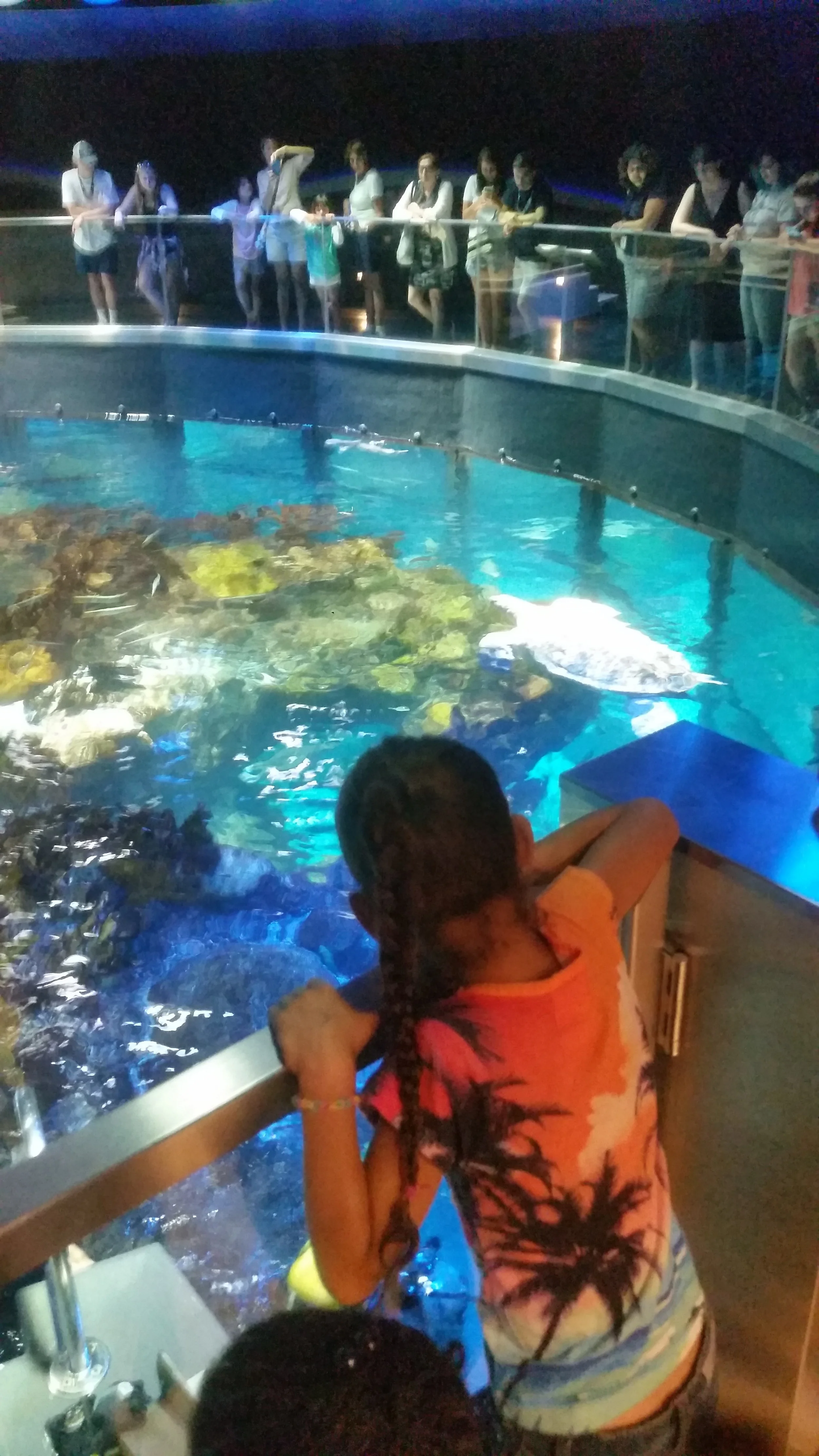 Students learn about marine life during a field trip to the New England Aquarium