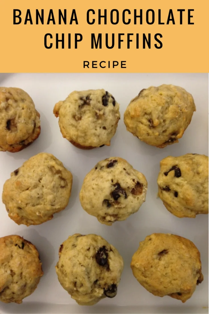 Banana Chocolate Chip Muffins