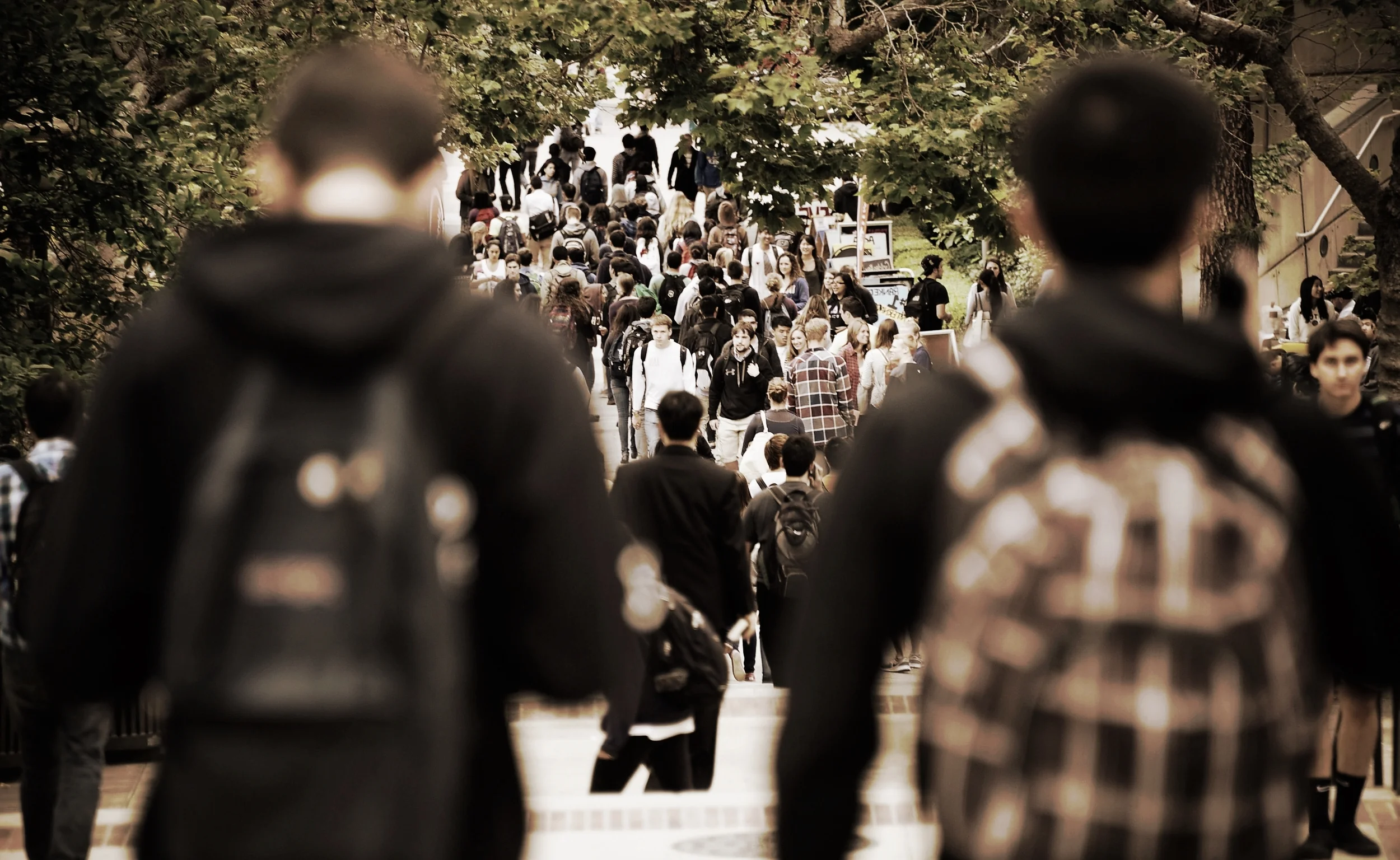report-half-recent-college-graduates-20120423-145652-731.jpg