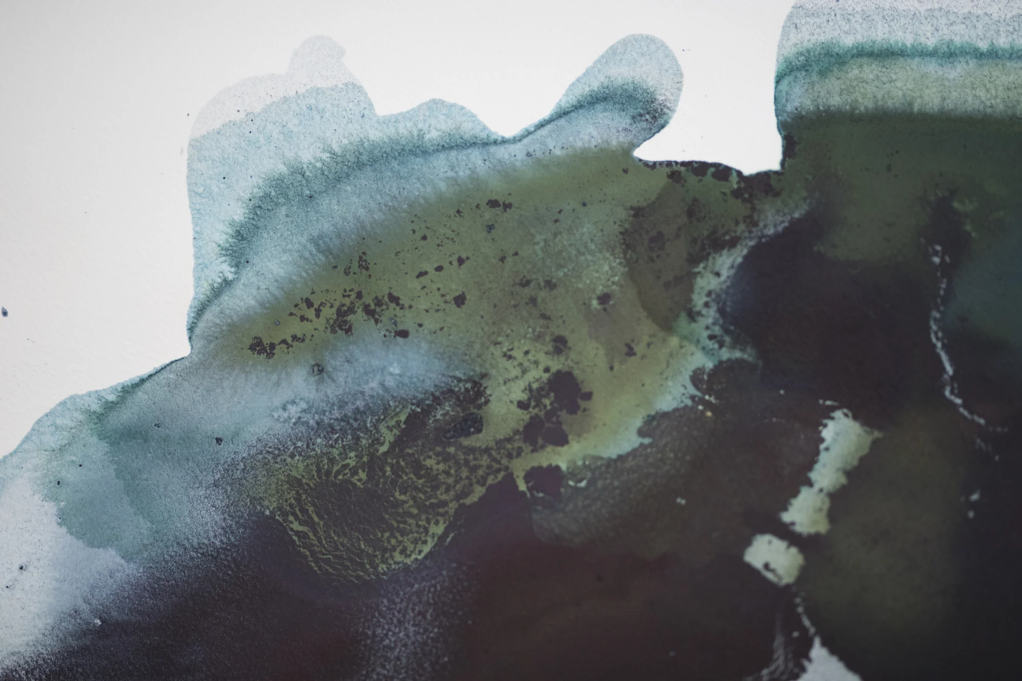 Seas and Turtle, No. 1, World (detail)